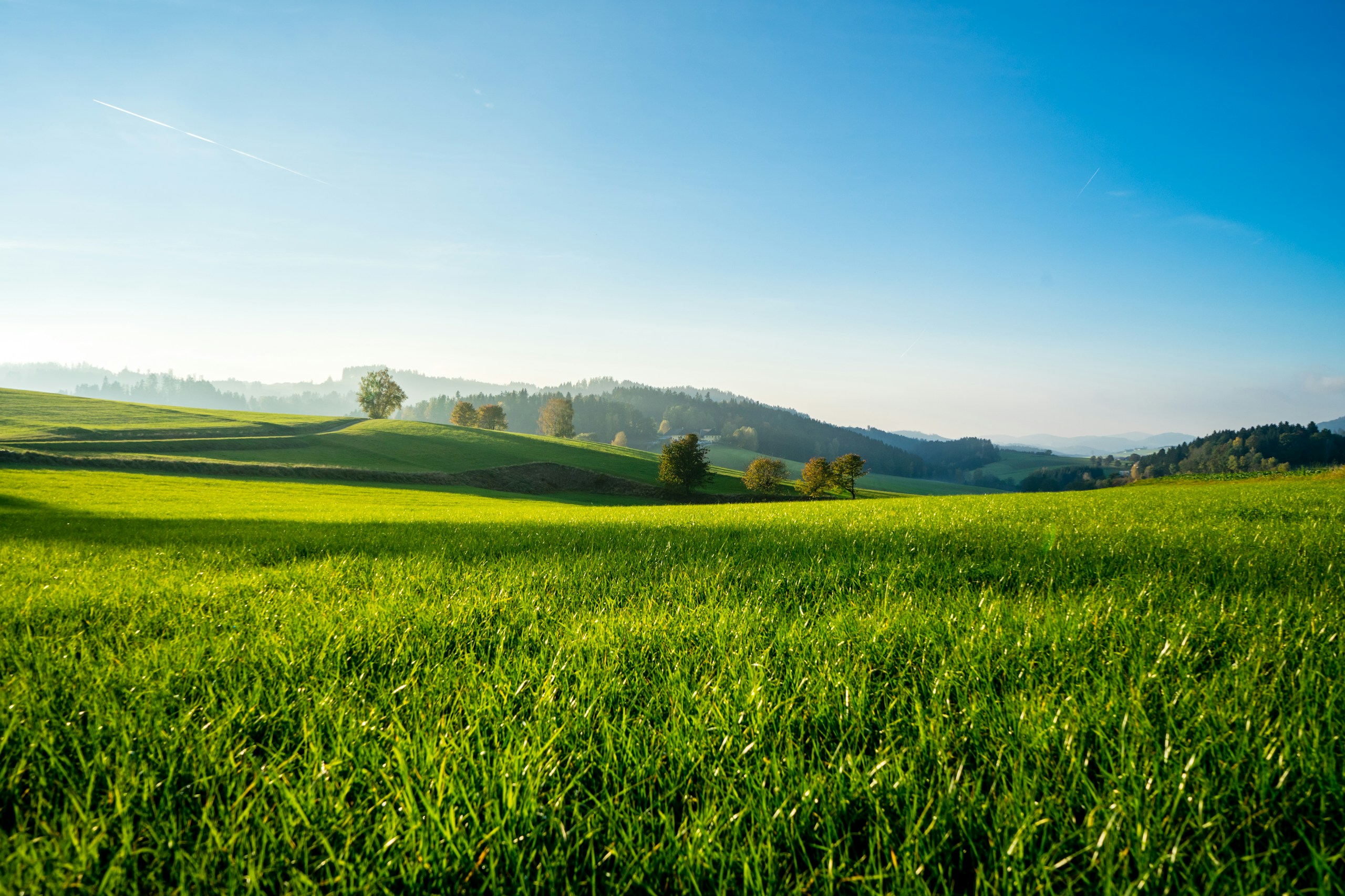 Lush green rolling hills under a clear blue sky HD Wallpaper
