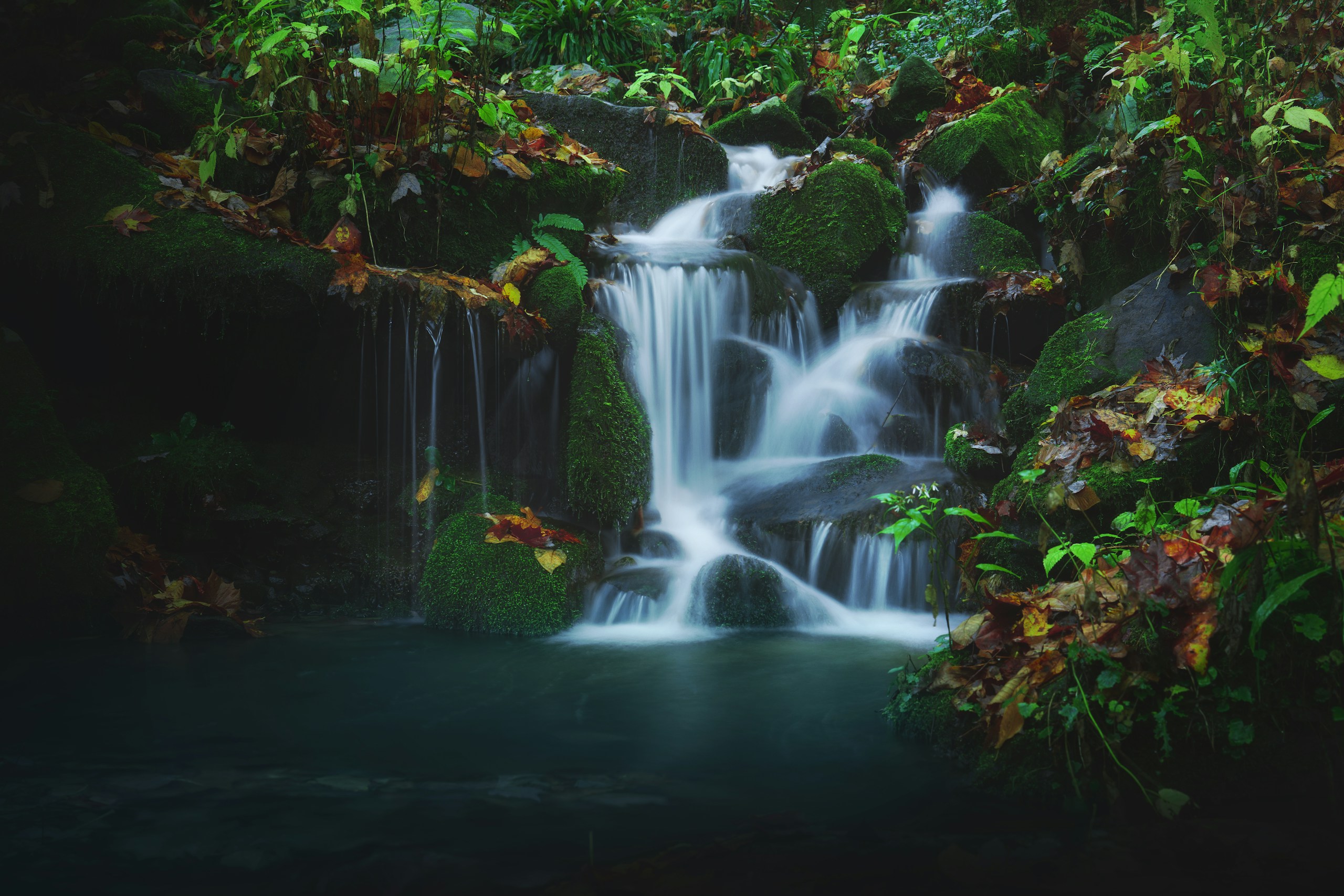 Waterfall cascading over mossy rocks in a forest HD Wallpaper
