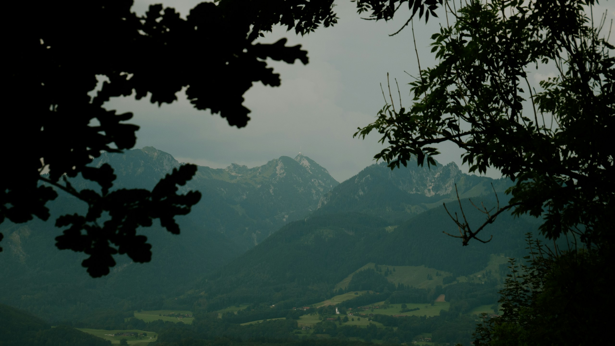 Mountain range viewed through tree branches HD Wallpaper