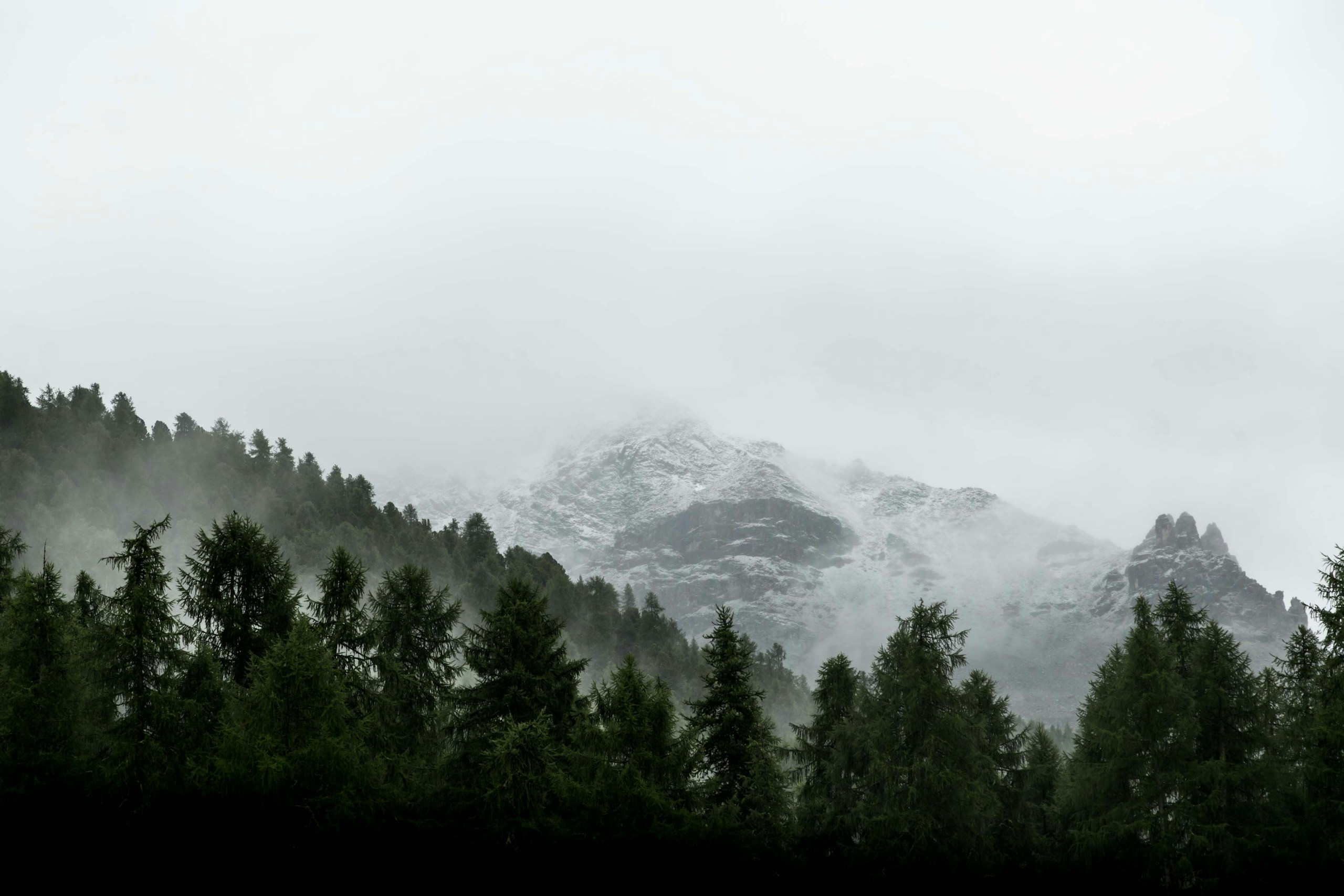 Misty mountain range with evergreen forest HD Wallpaper