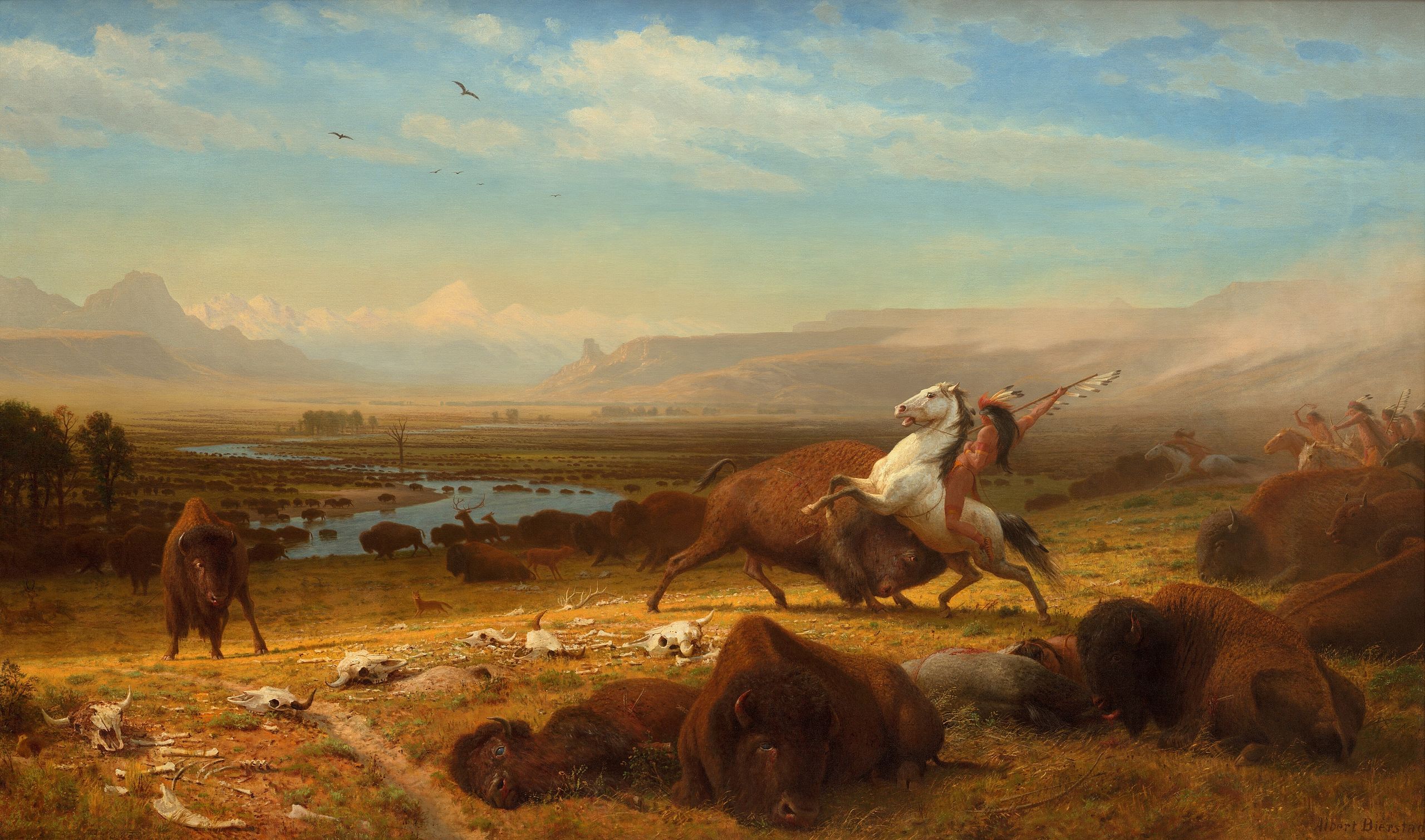 Native American hunting buffalo on horseback HD Wallpaper