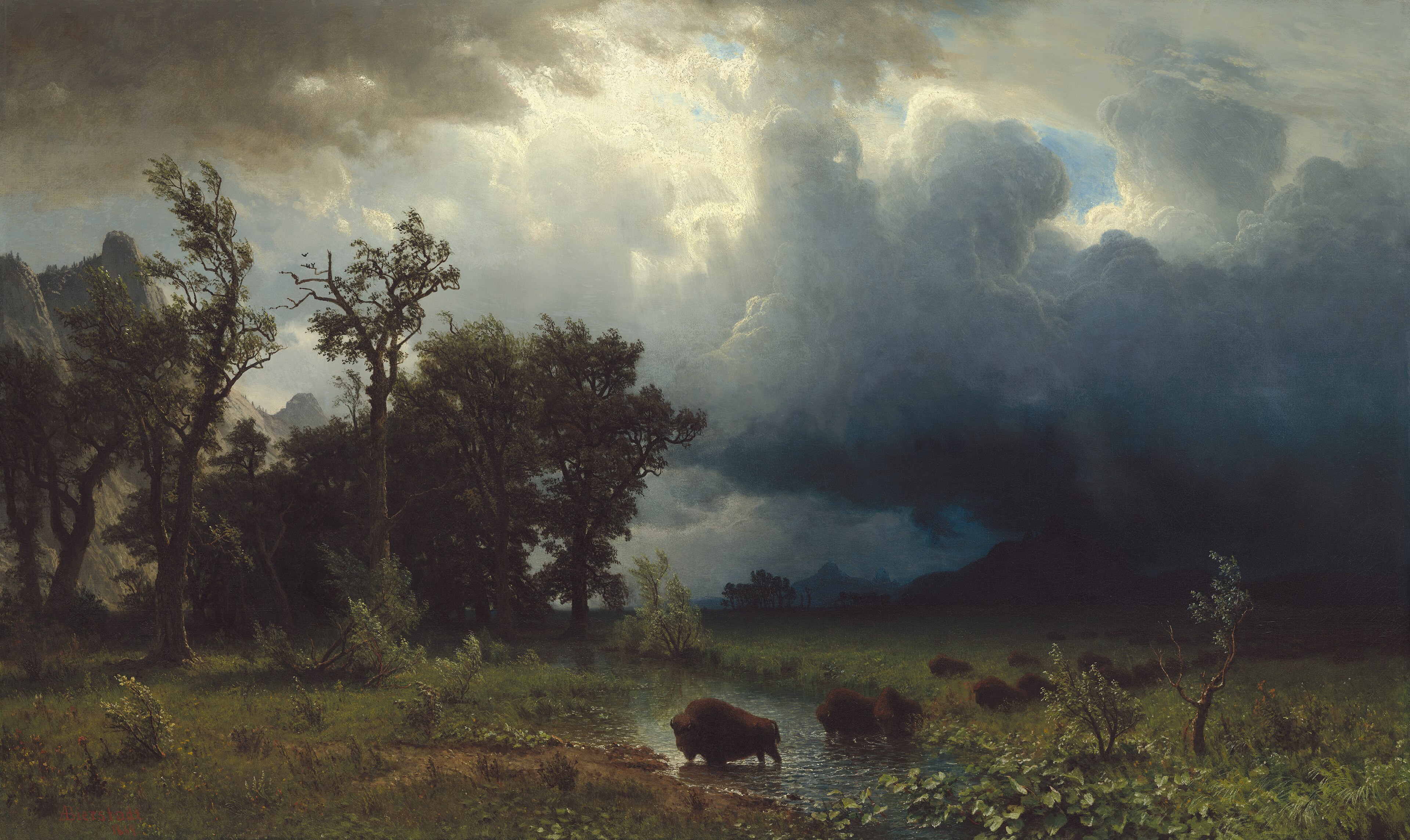 Buffalo Trail, The Impending Storm by Albert Bierstadt HD Wallpaper