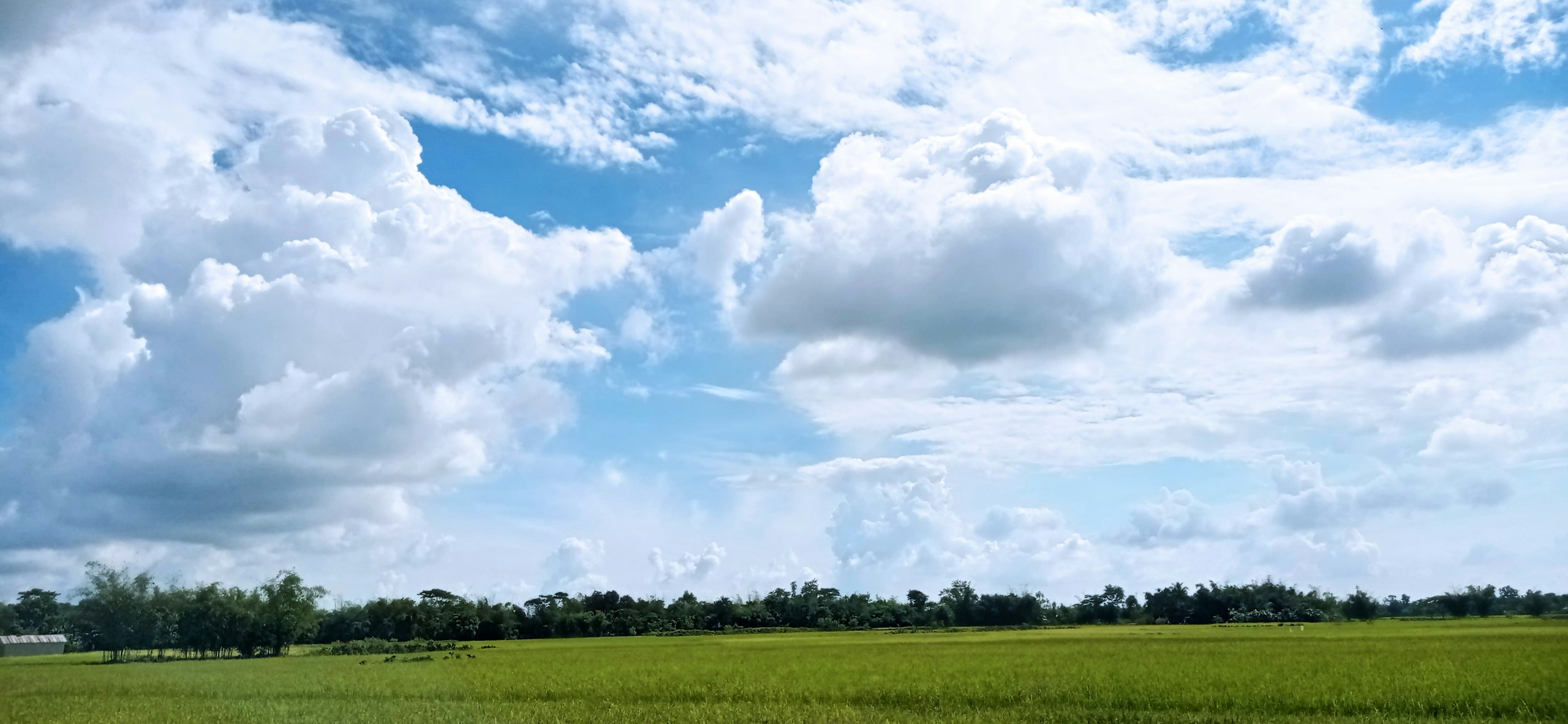 Green field under a cloudy sky HD Wallpaper