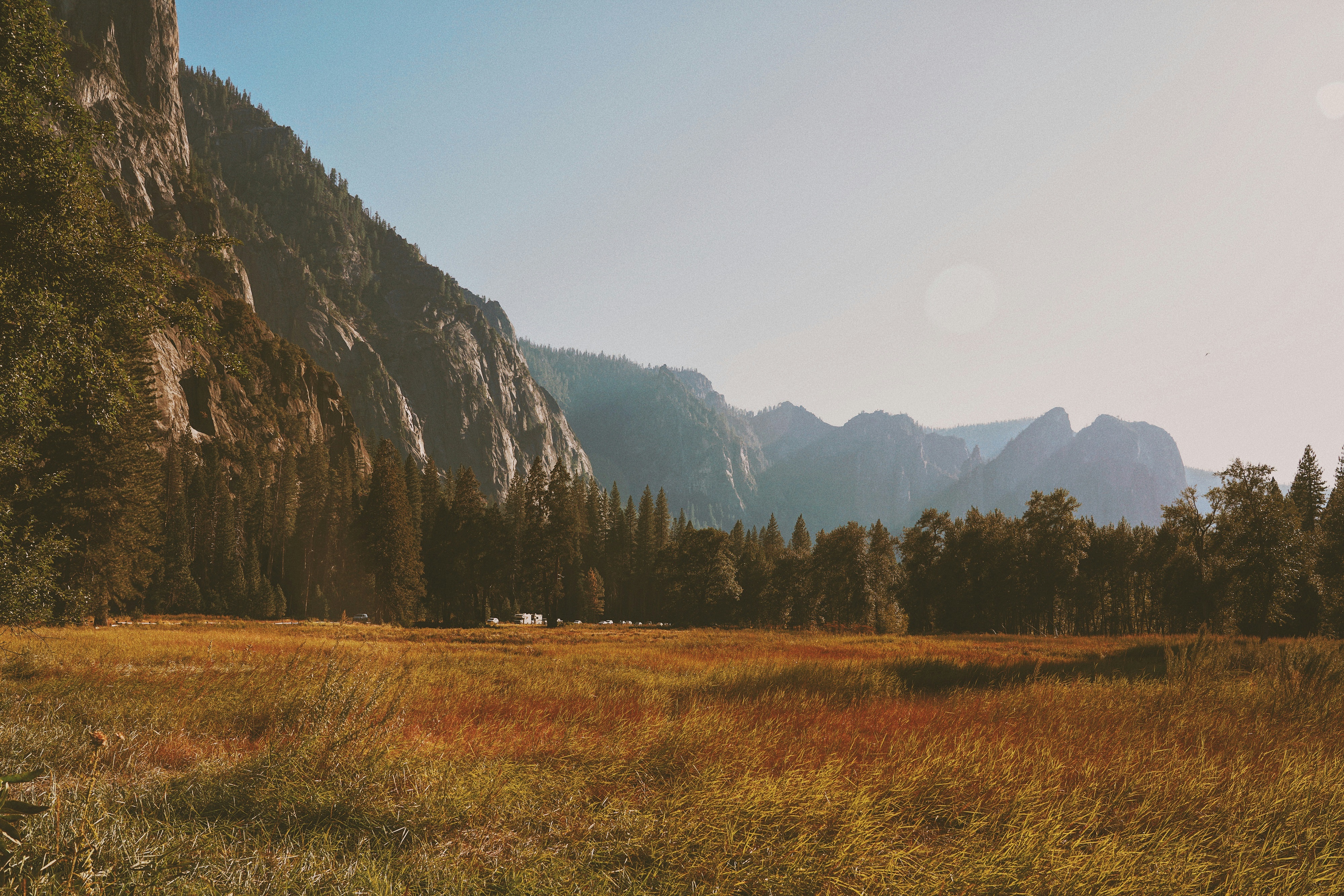 Mountain valley with golden meadow and pine forest HD Wallpaper