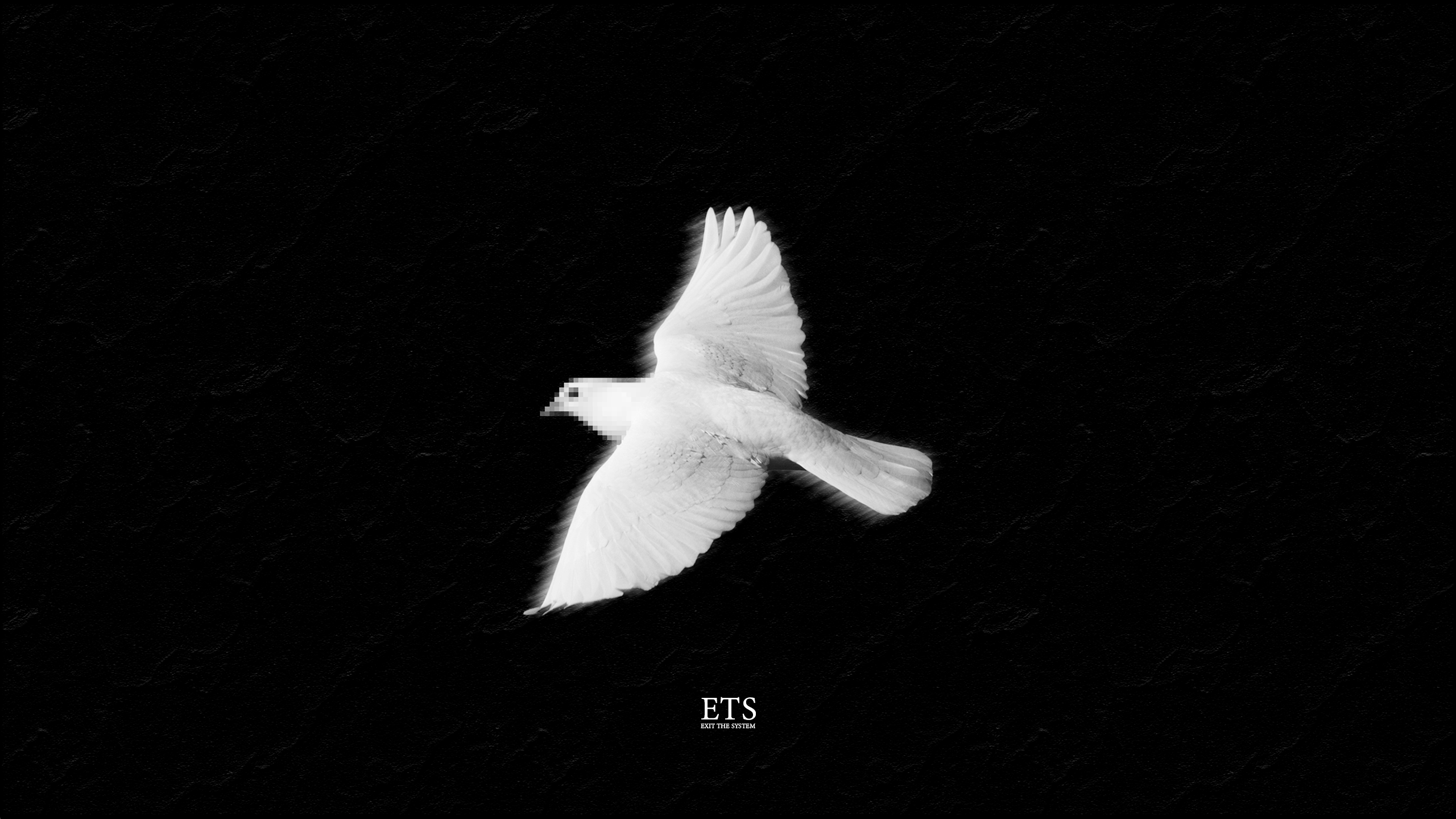 White dove flying in the dark with pixelated face HD Wallpaper