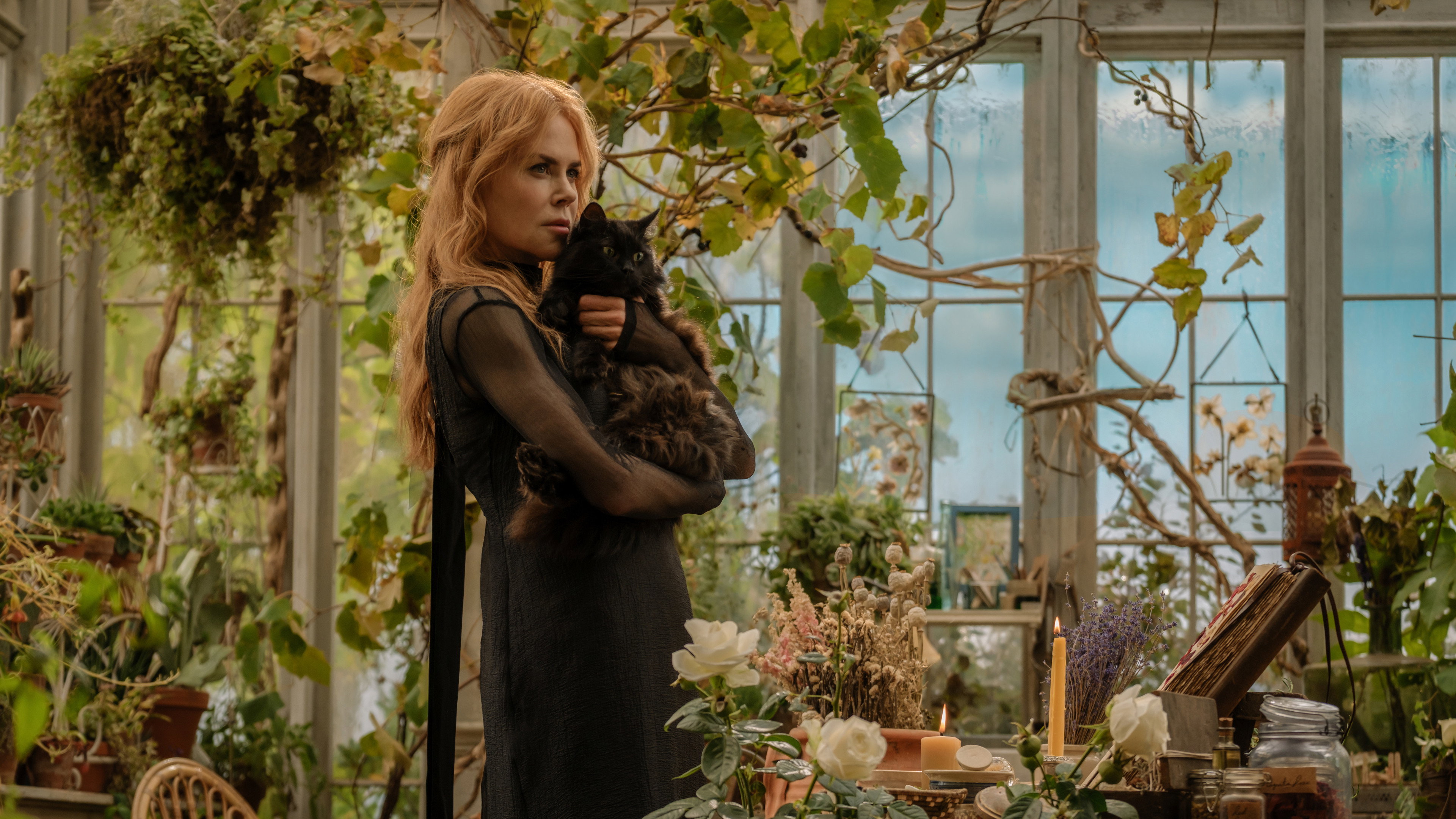 Nicole Kidman with a black cat in a greenhouse HD Wallpaper