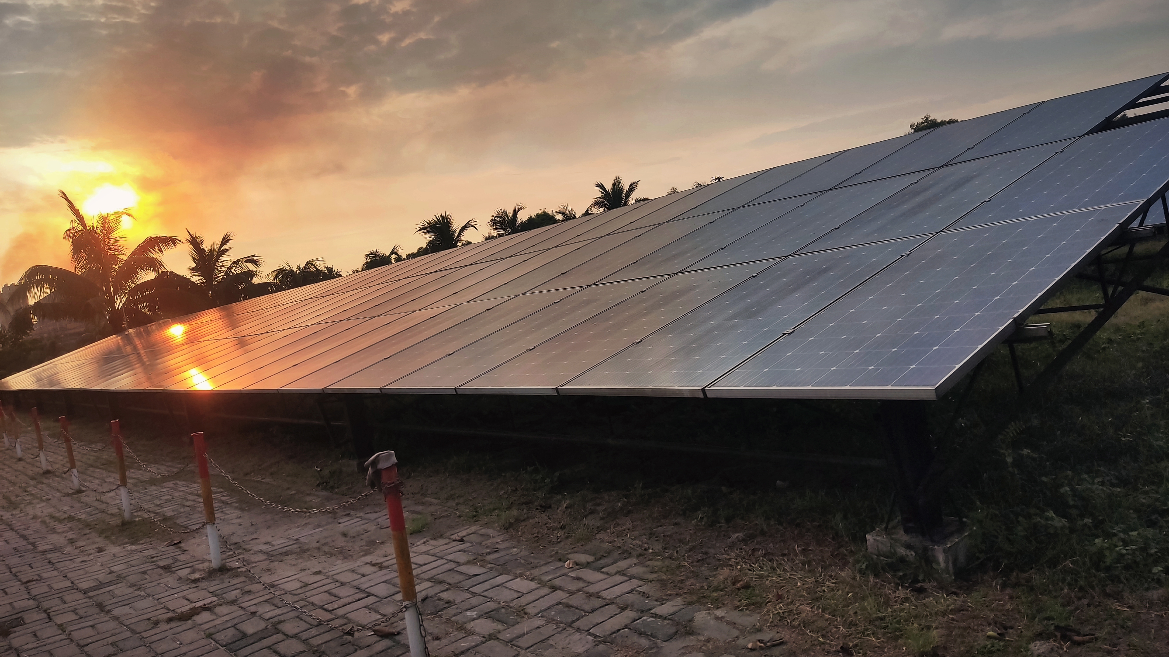 Solar panels at sunset with palm trees HD Wallpaper