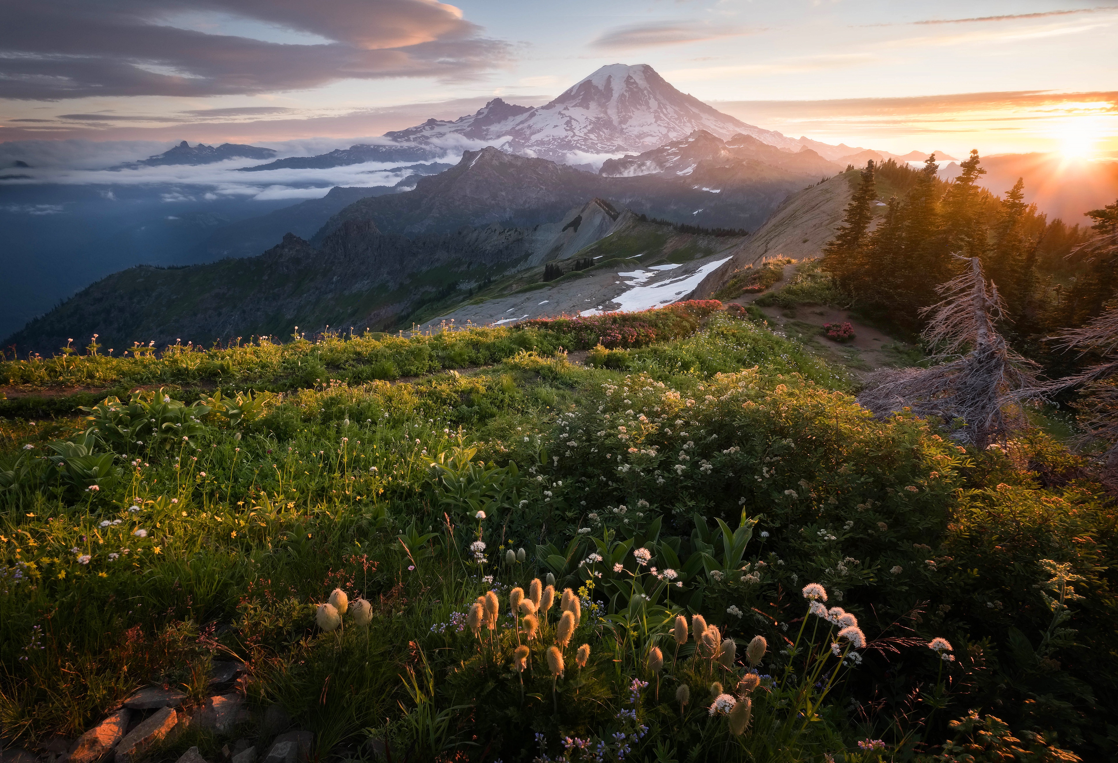 Mountain landscape at sunset with wildflowers HD Wallpaper