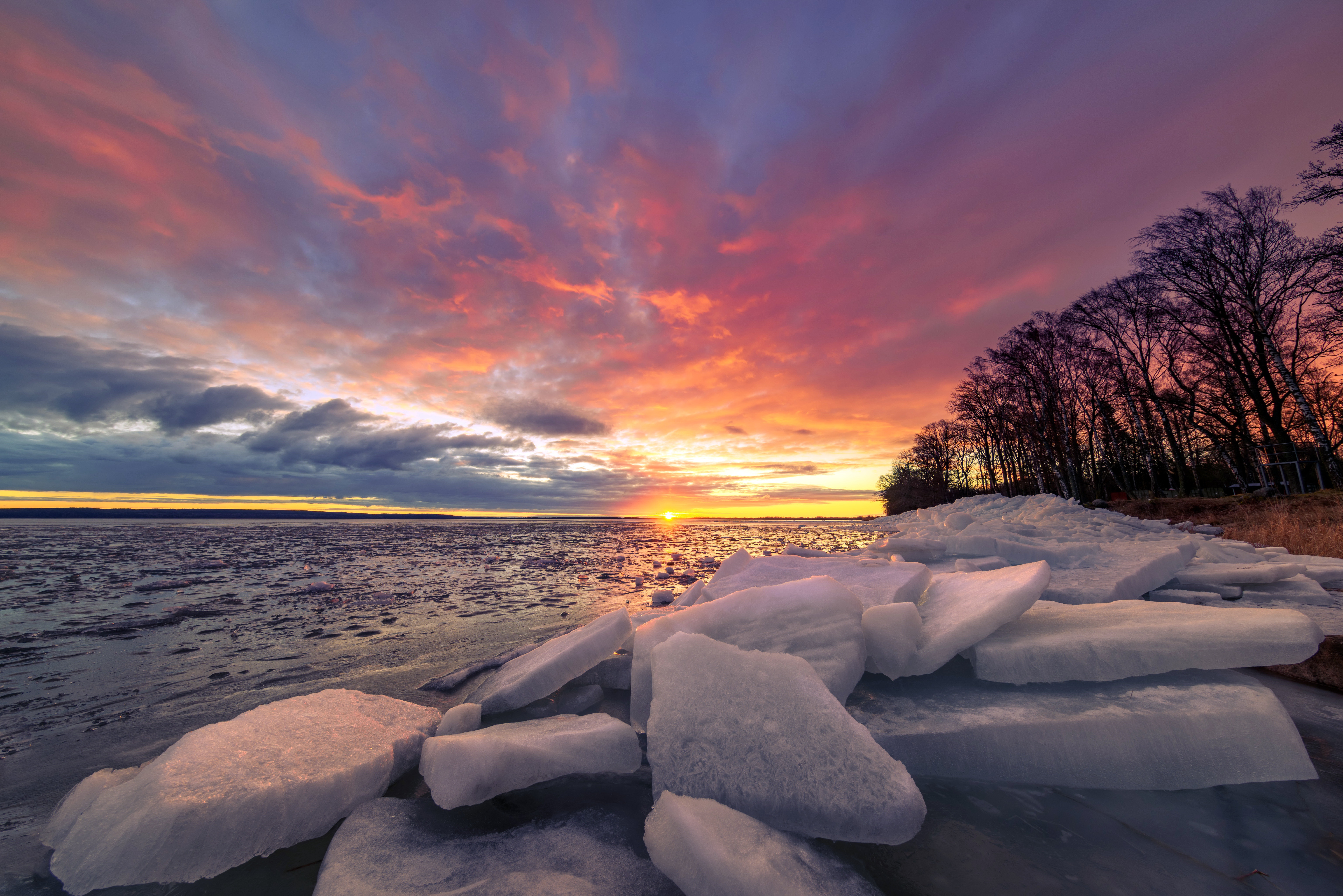 Sunset over icy water with trees HD Wallpaper