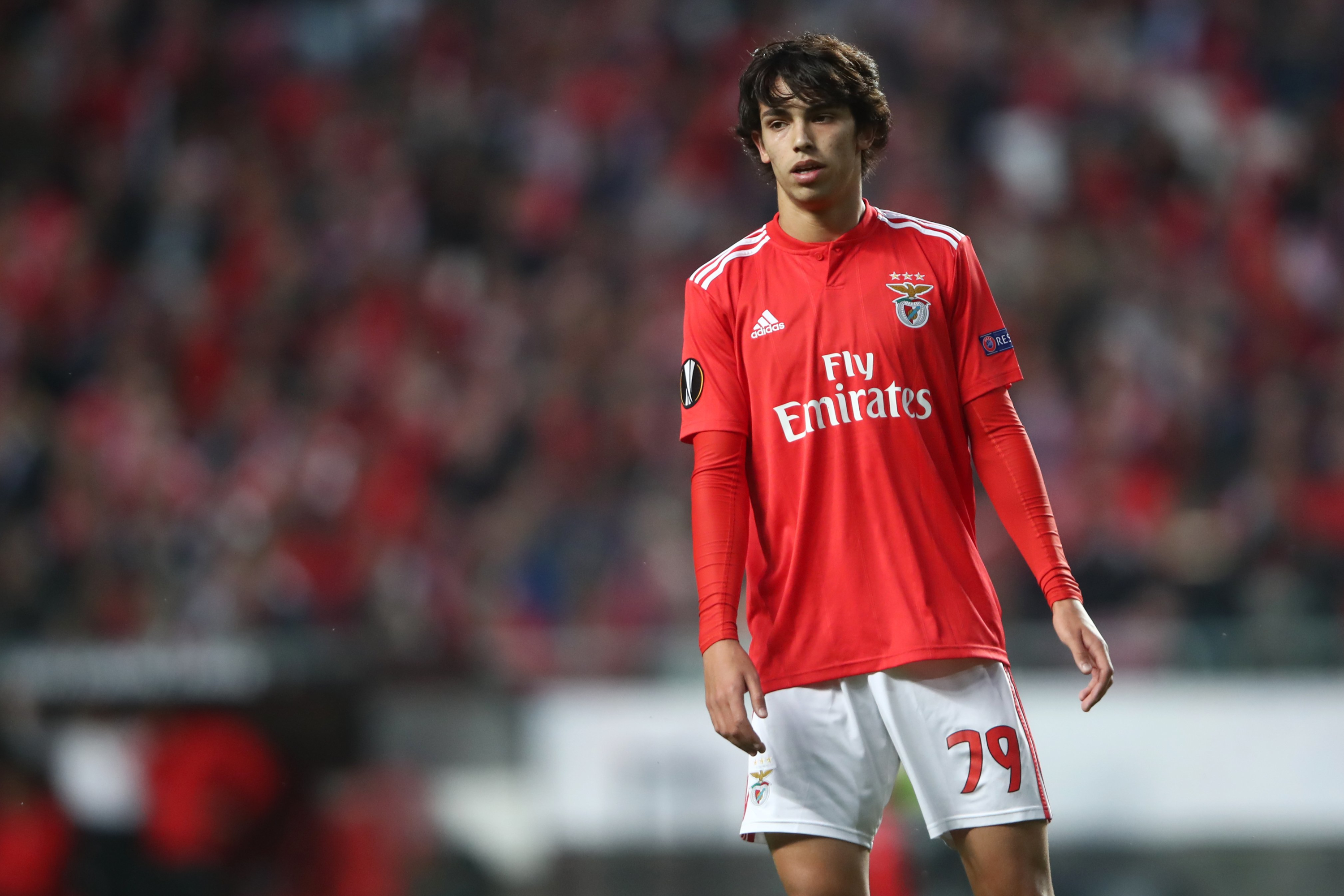Joao Felix in Benfica soccer uniform HD Wallpaper