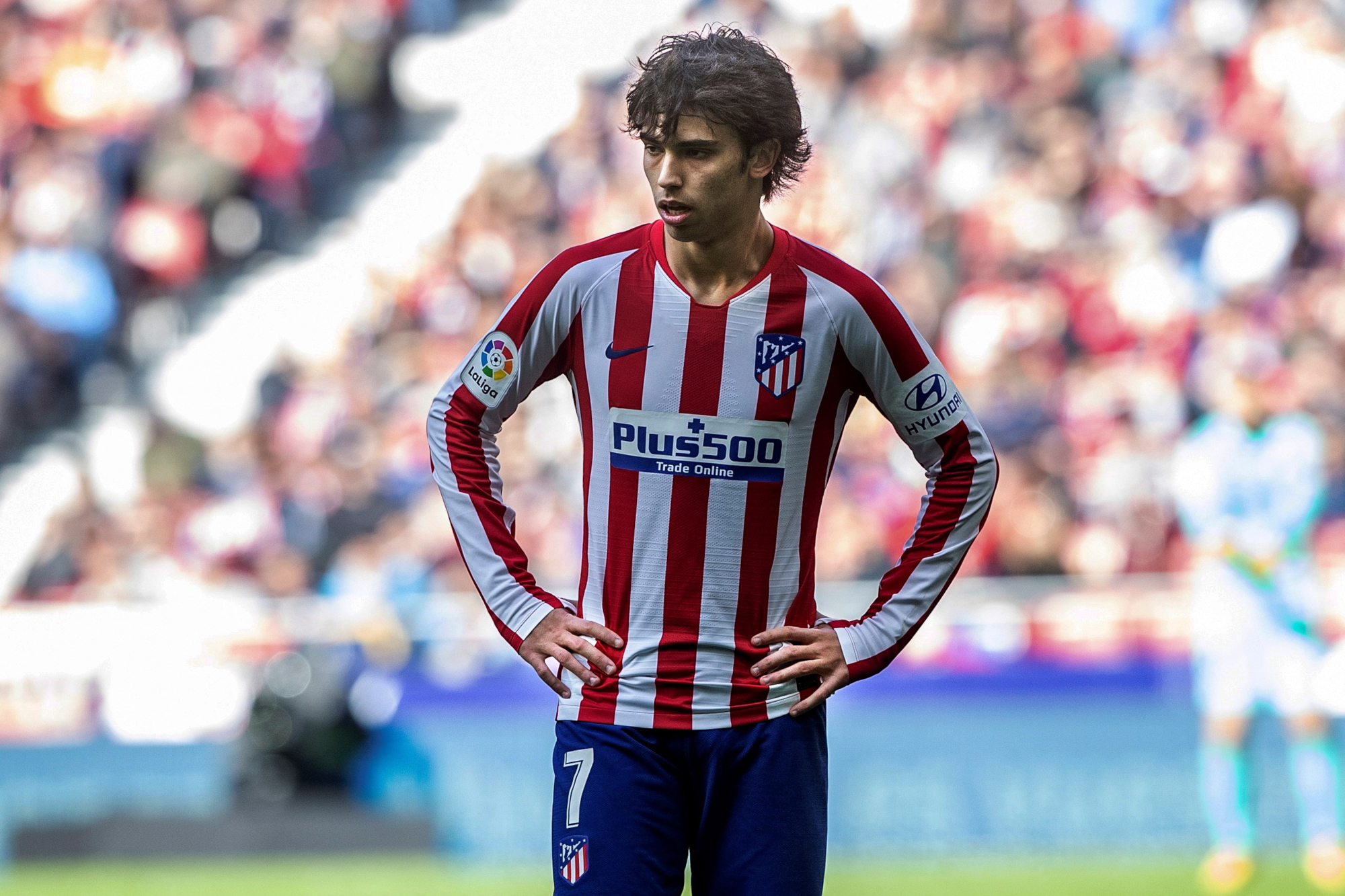 Joao Felix in Atletico Madrid soccer uniform HD Wallpaper
