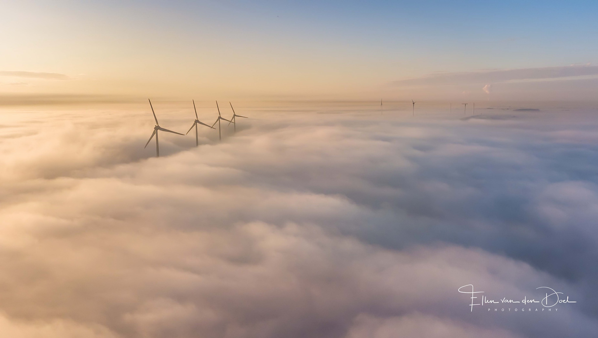 Wind turbines emerging from fog at sunrise HD Wallpaper