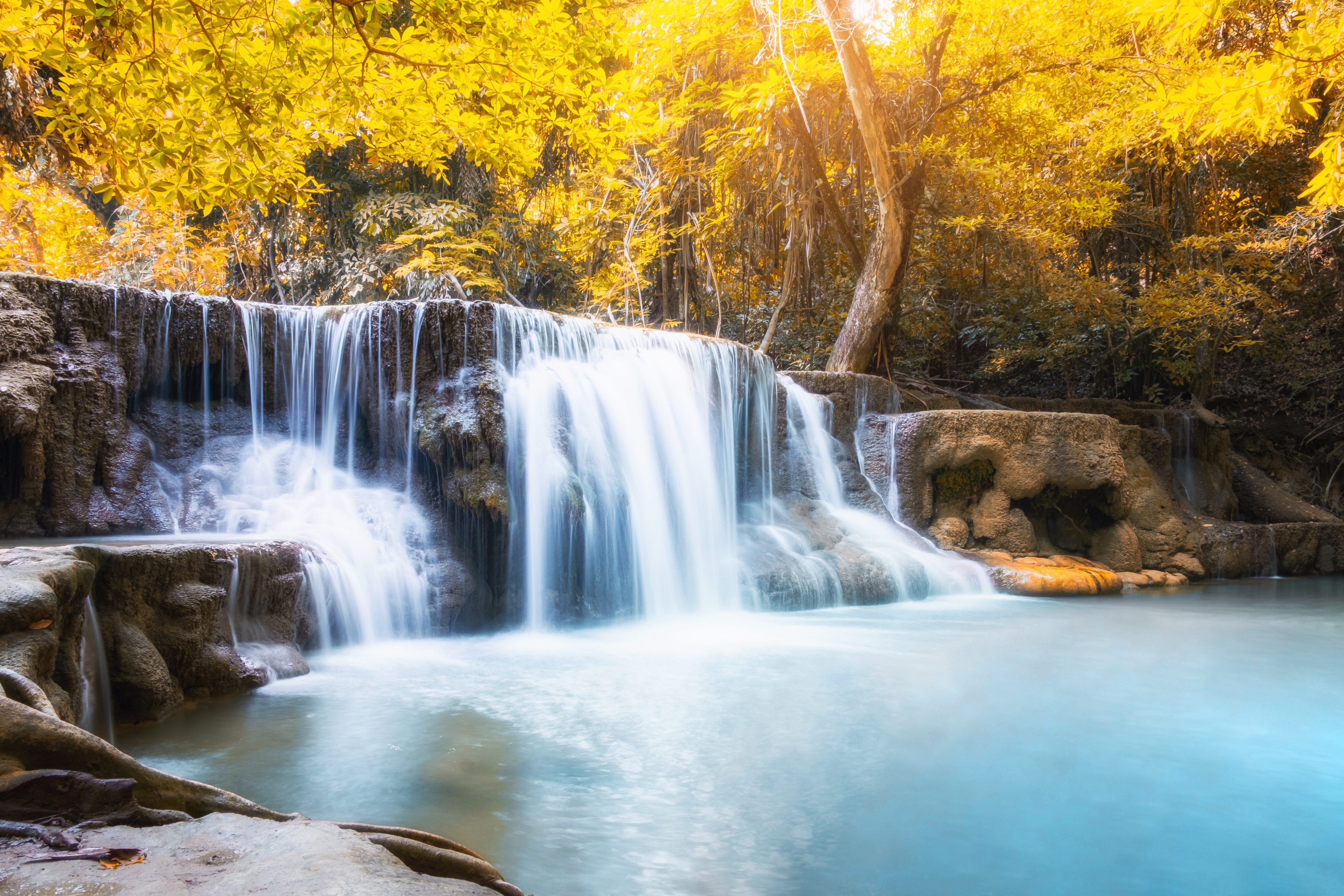 Waterfall in a forest with yellow leaves HD Wallpaper