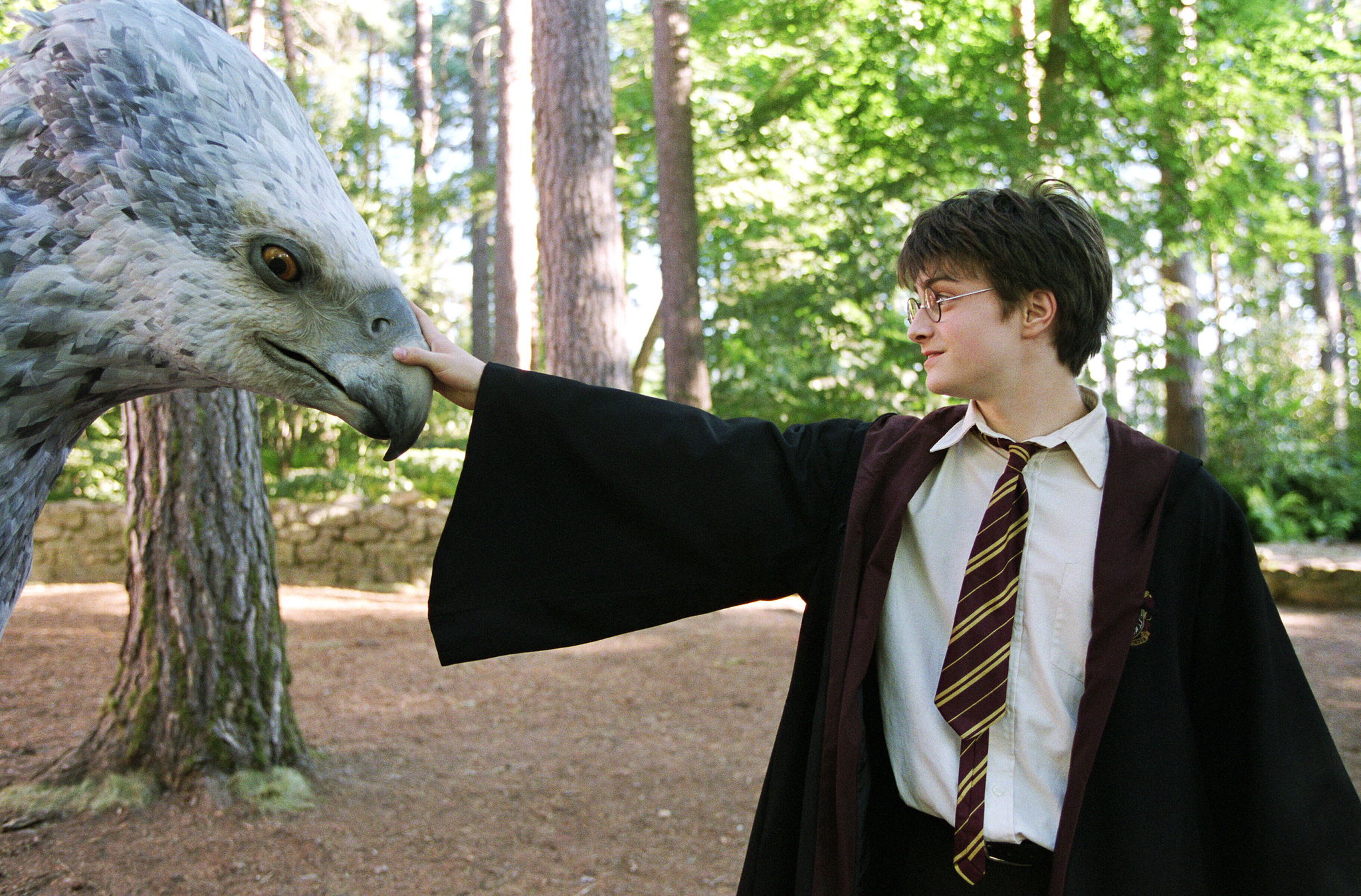 Harry Potter and Buckbeak in the forest HD Wallpaper