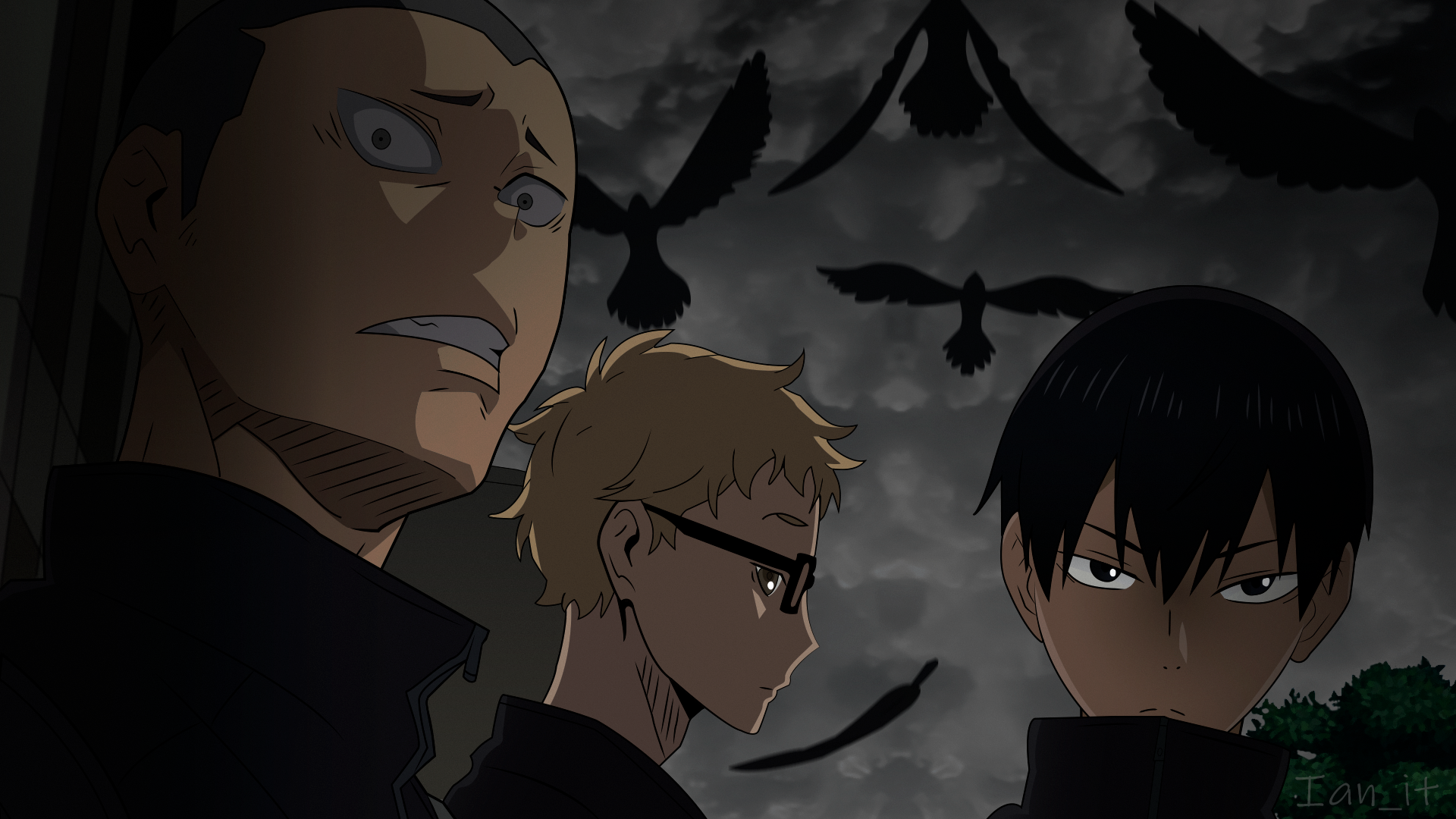 Karasuno High crows with Kageyama, Tsukishima, and Tanaka HD Wallpaper