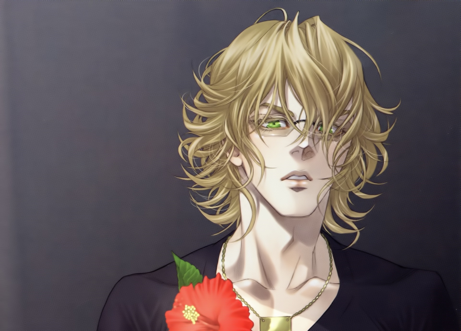 Barnaby Brooks Jr. from Tiger and Bunny HD Wallpaper