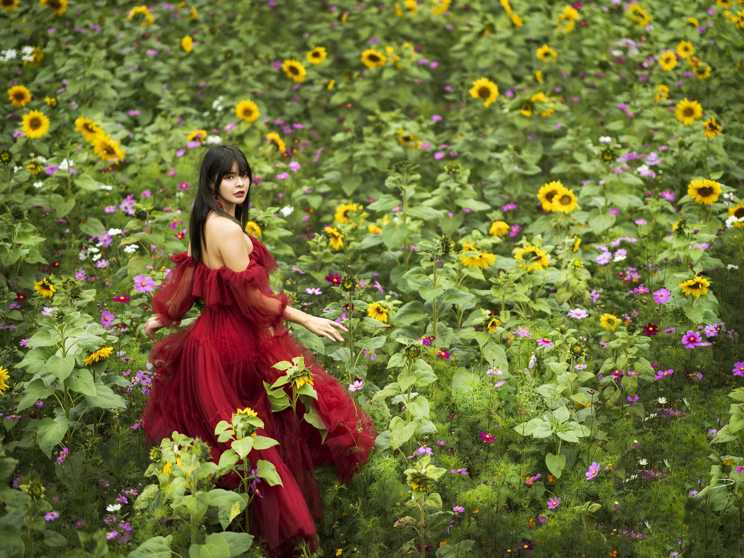 Woman in Red Dress Among Wildflowers HD Wallpaper
