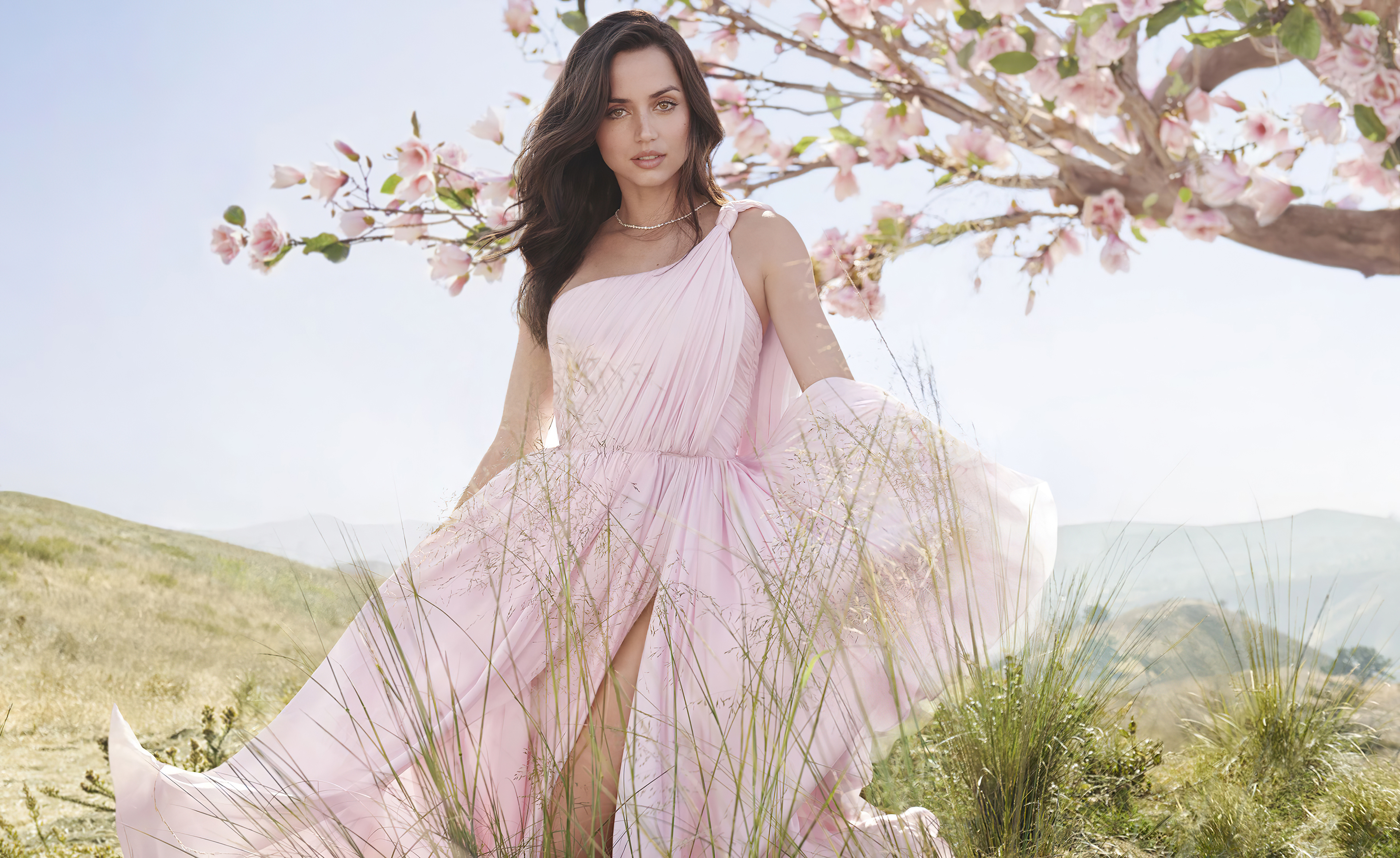 Ana de Armas in a pink dress with flowers HD Wallpaper