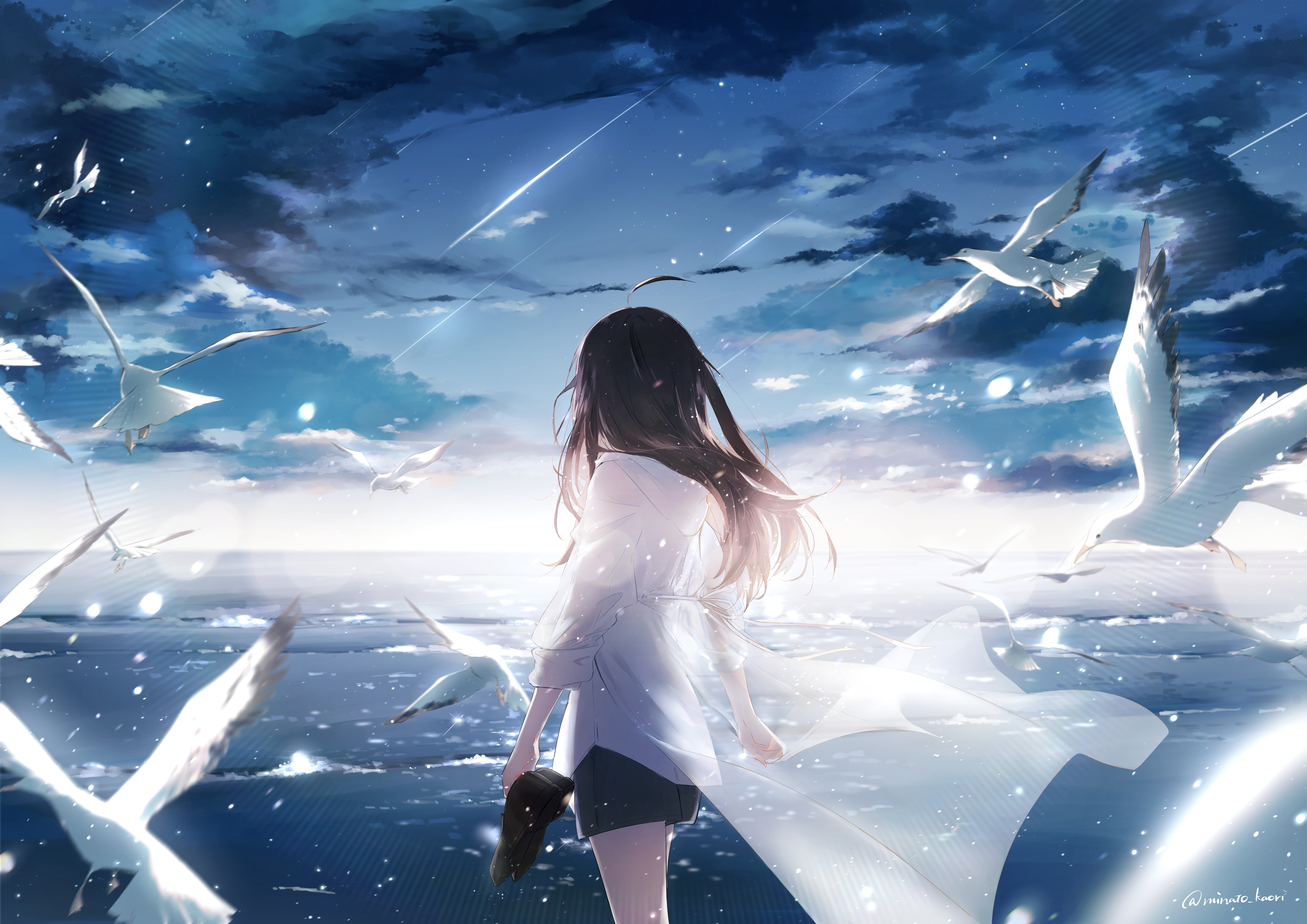 Girl with black hair and seagulls by the ocean HD Wallpaper