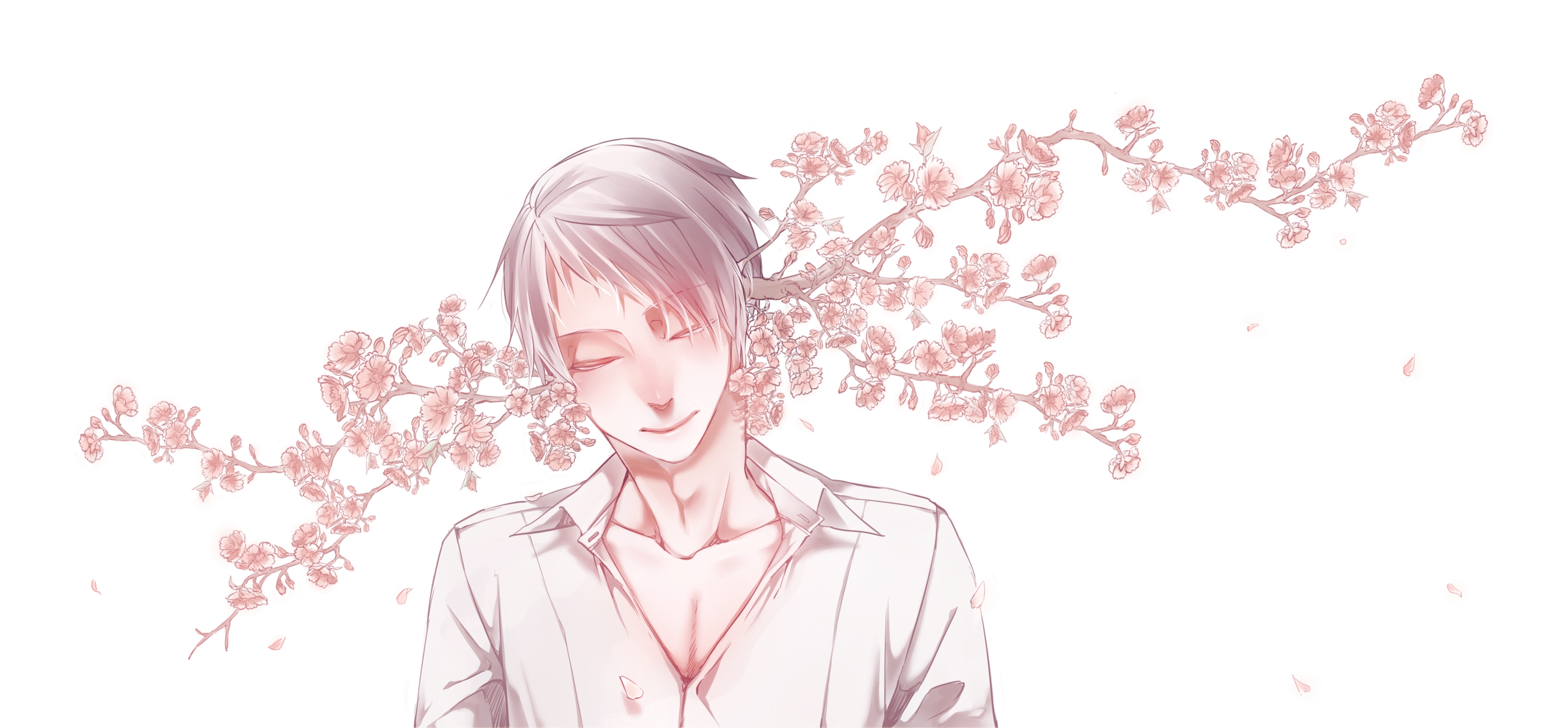 Prussia from Hetalia: Axis Powers with cherry blossoms HD Wallpaper