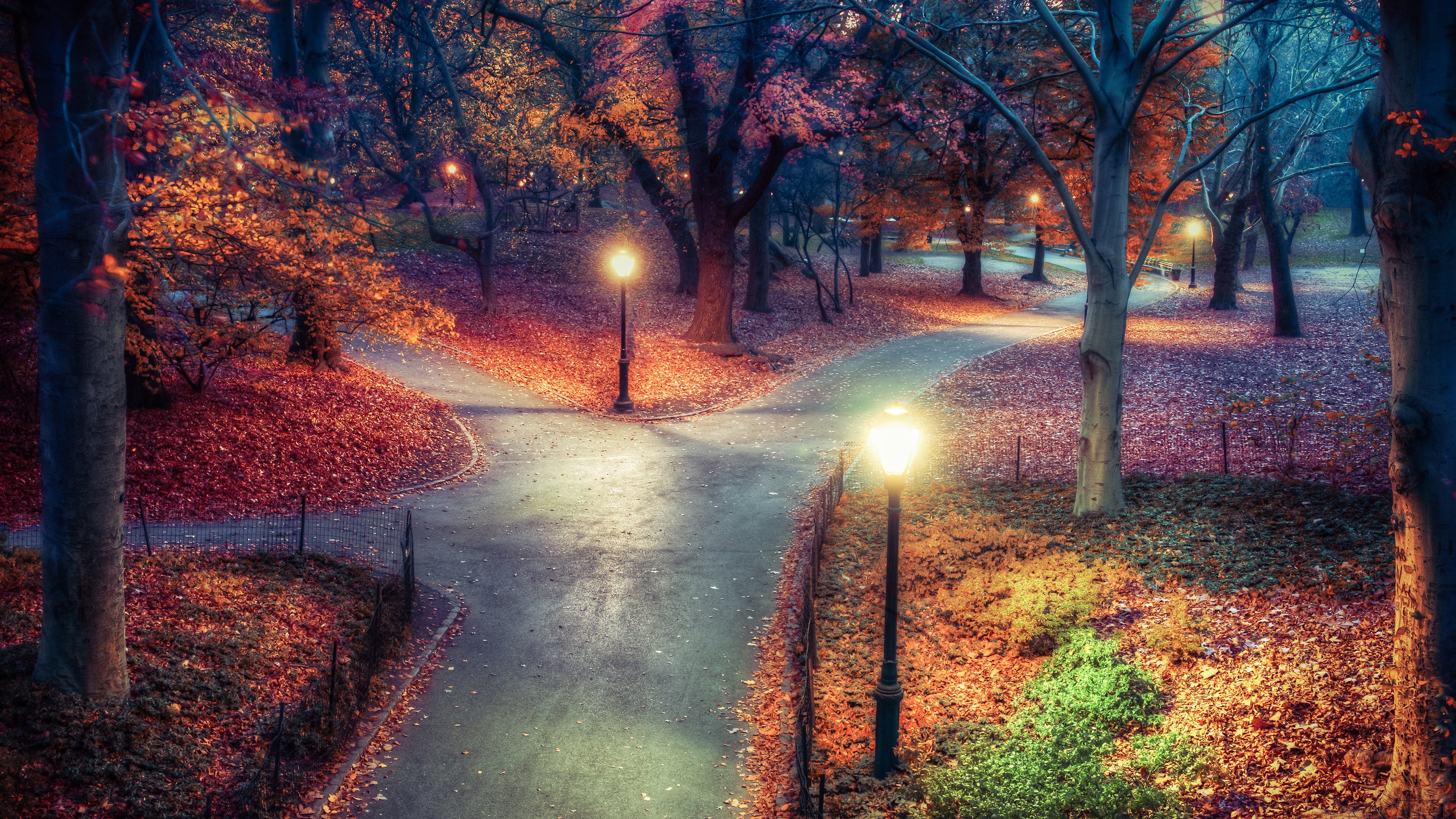 Park pathway in autumn with streetlights HD Wallpaper