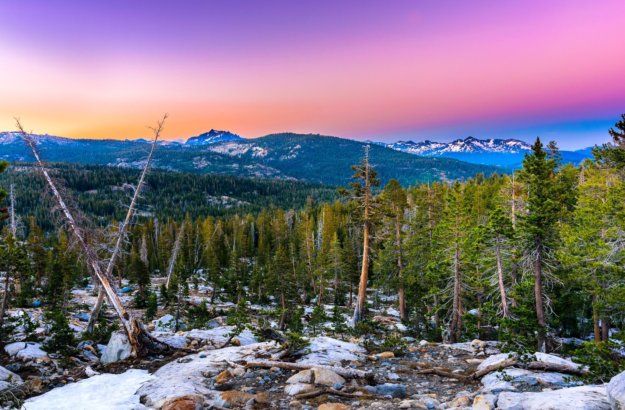 Mountain landscape with pine forest and snow-capped peaks at sunset HD Wallpaper