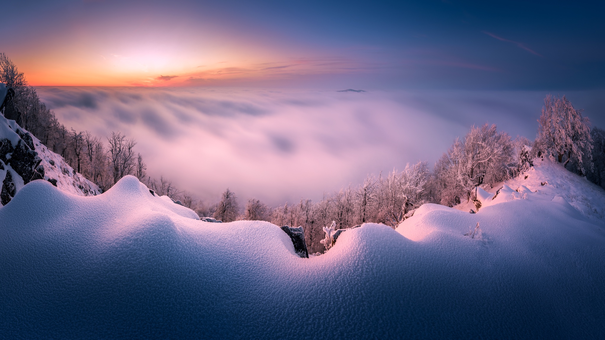 Winter sunrise over foggy mountains with snow-covered trees HD Wallpaper