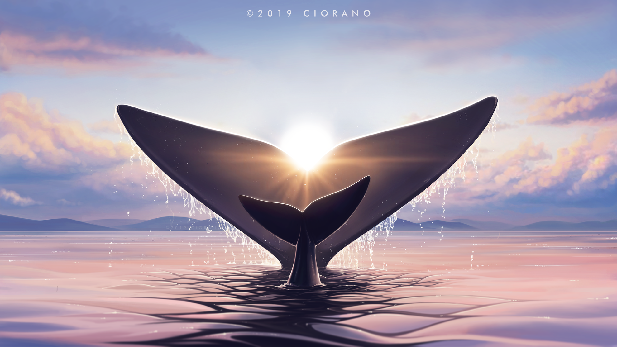 Whale tail breaching at sunset over the ocean HD Wallpaper
