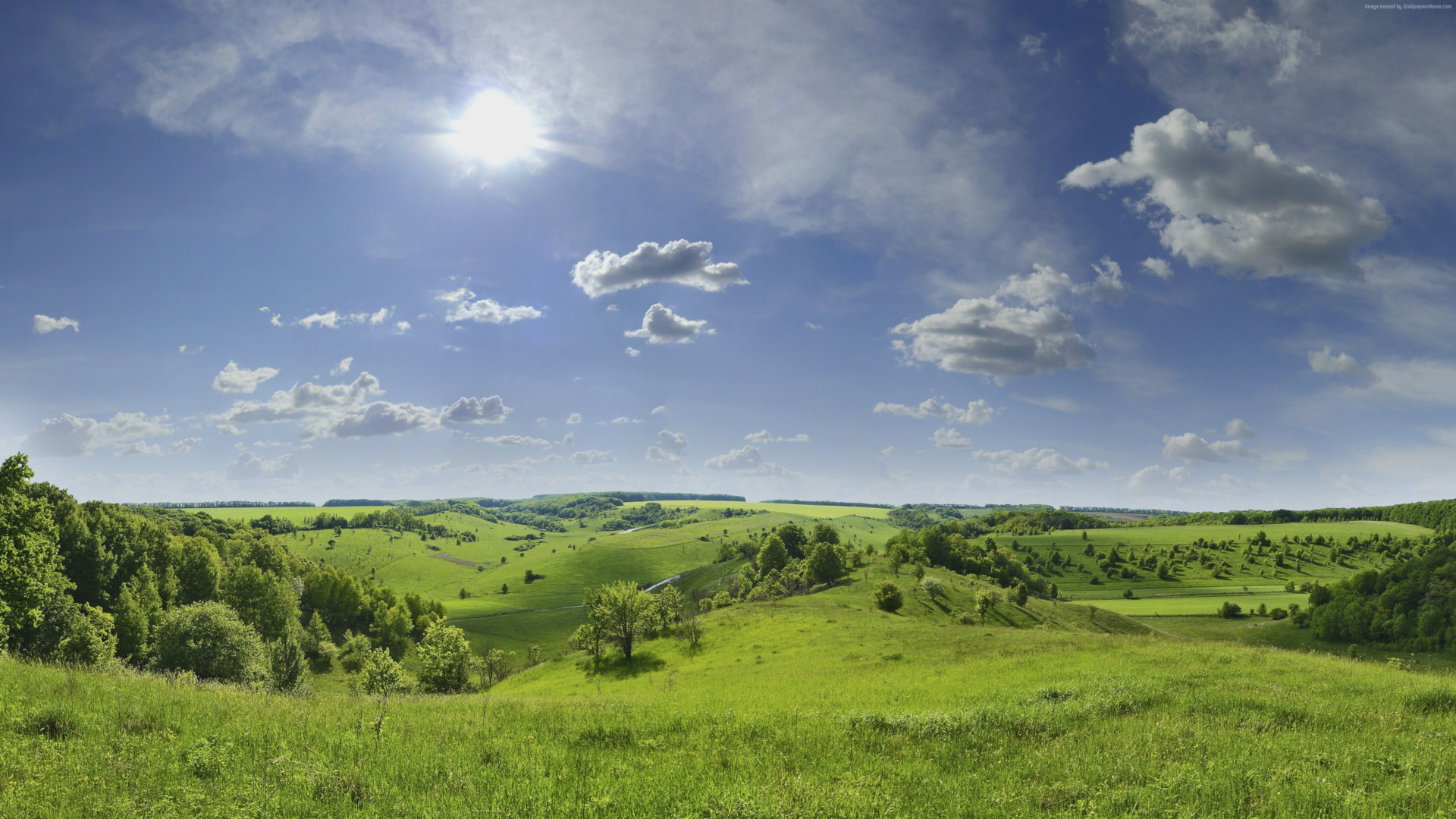Rolling green hills under a bright sun and blue sky HD Wallpaper