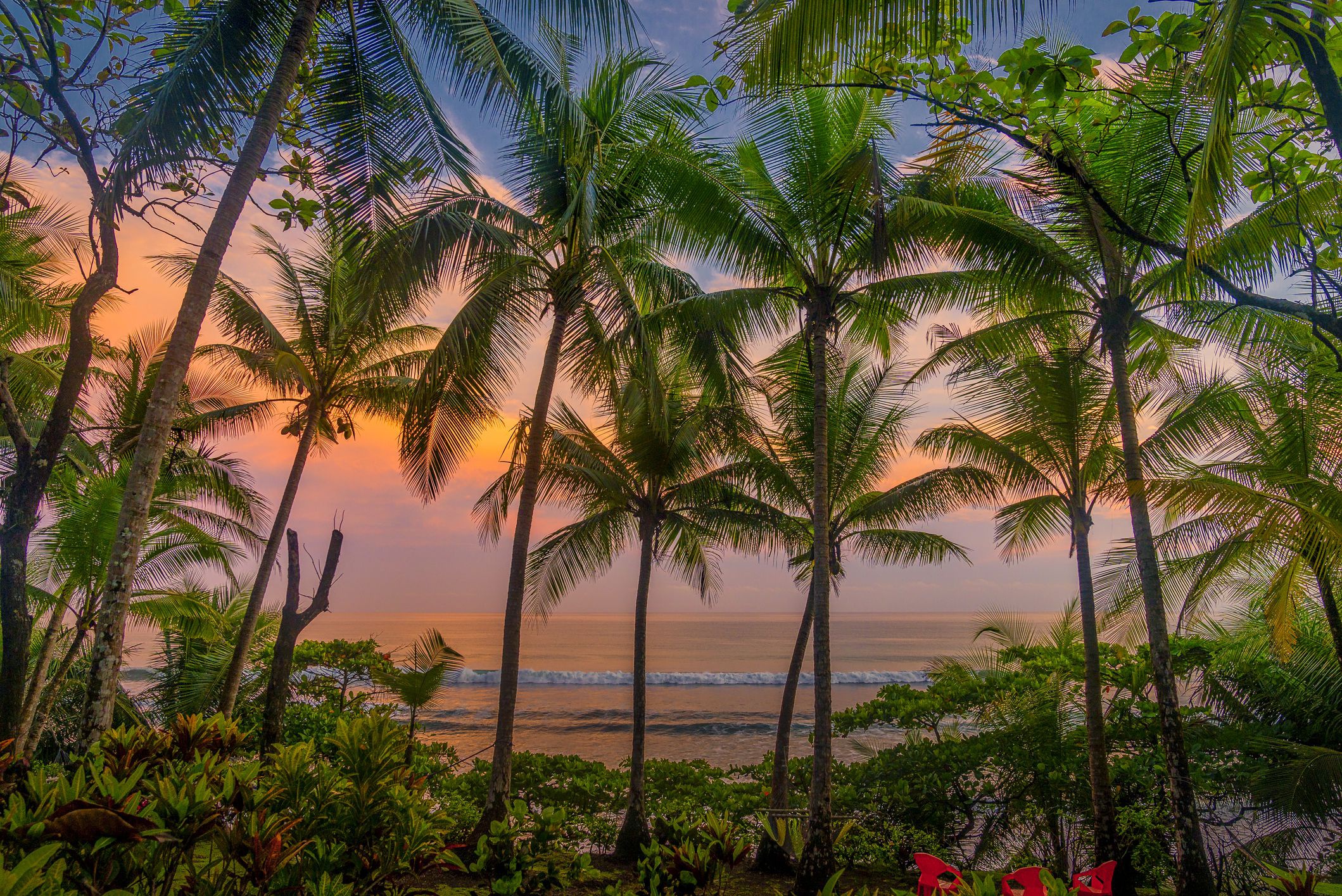 Palm trees on a beach at sunset HD Wallpaper