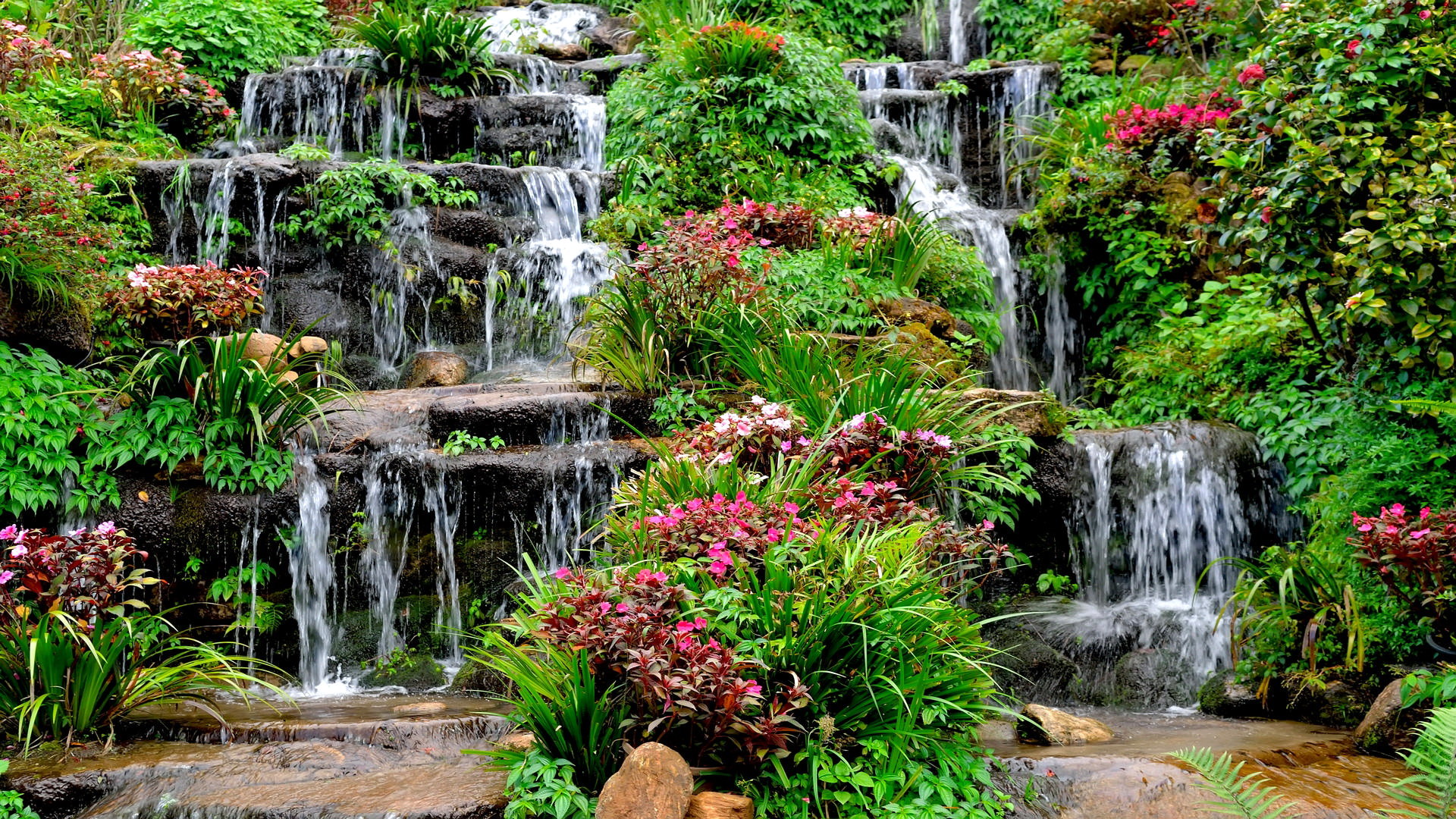 Terraced waterfall with lush green plants and flowers HD Wallpaper