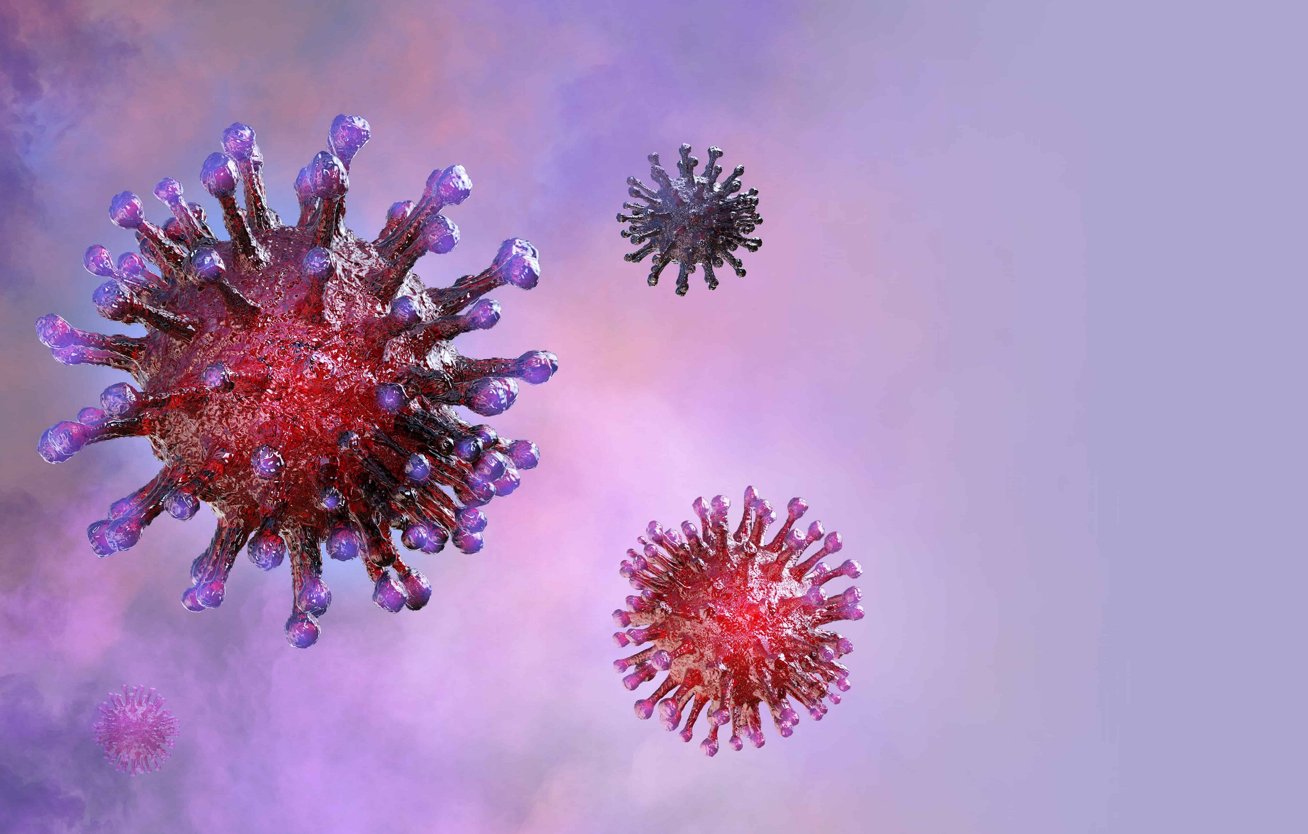Coronavirus particles in purple and pink background HD Wallpaper