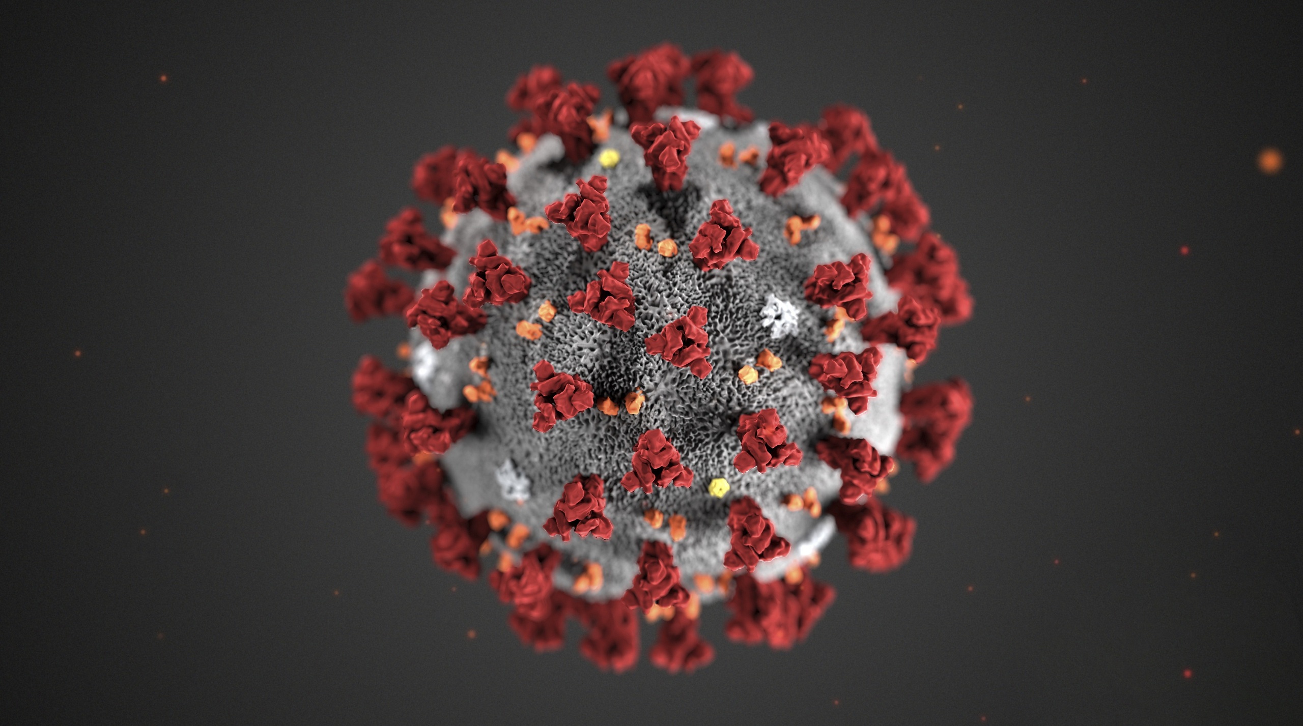 COVID-19 virus particle HD Wallpaper