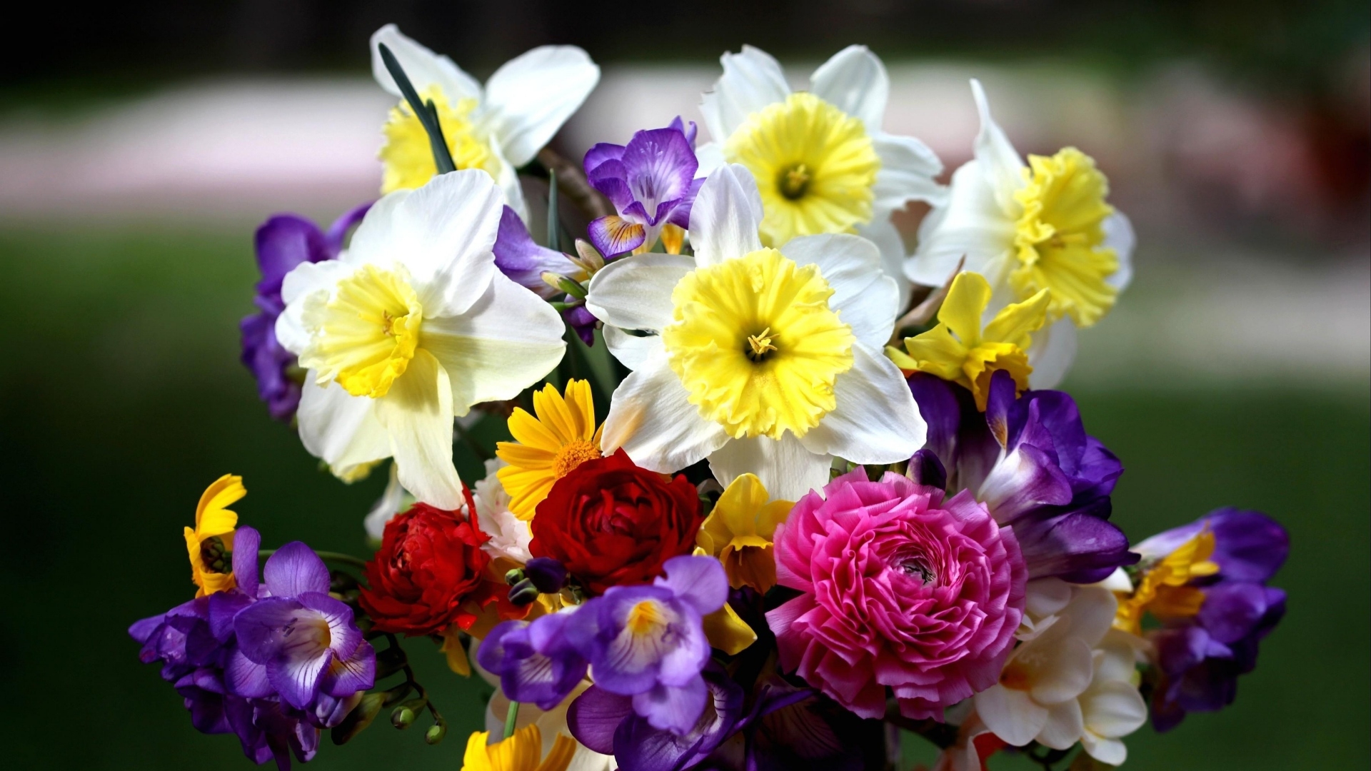 Bouquet of Daffodils and Other Flowers HD Wallpaper