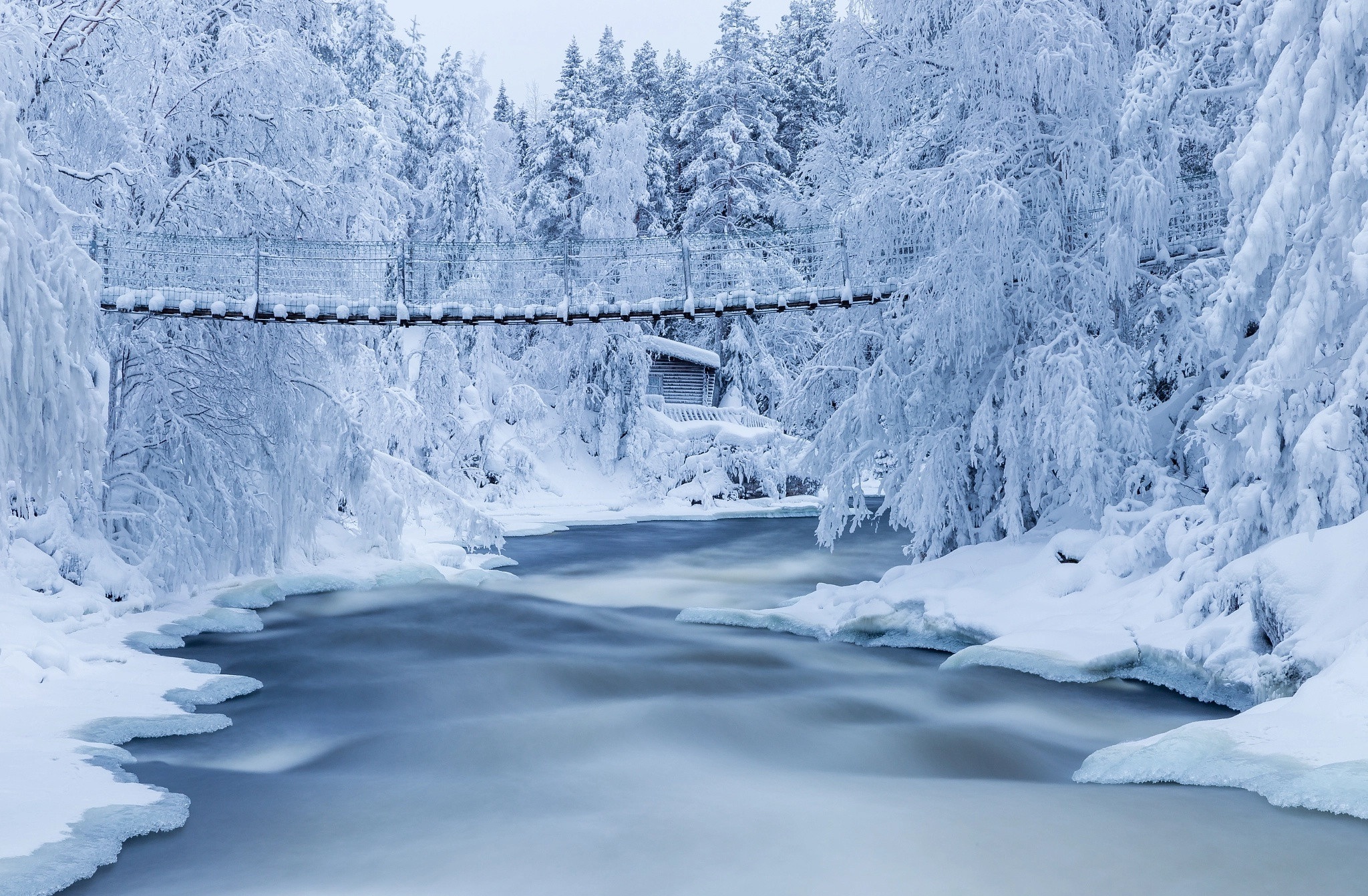 Suspension bridge over a frozen river in a snowy forest HD Wallpaper