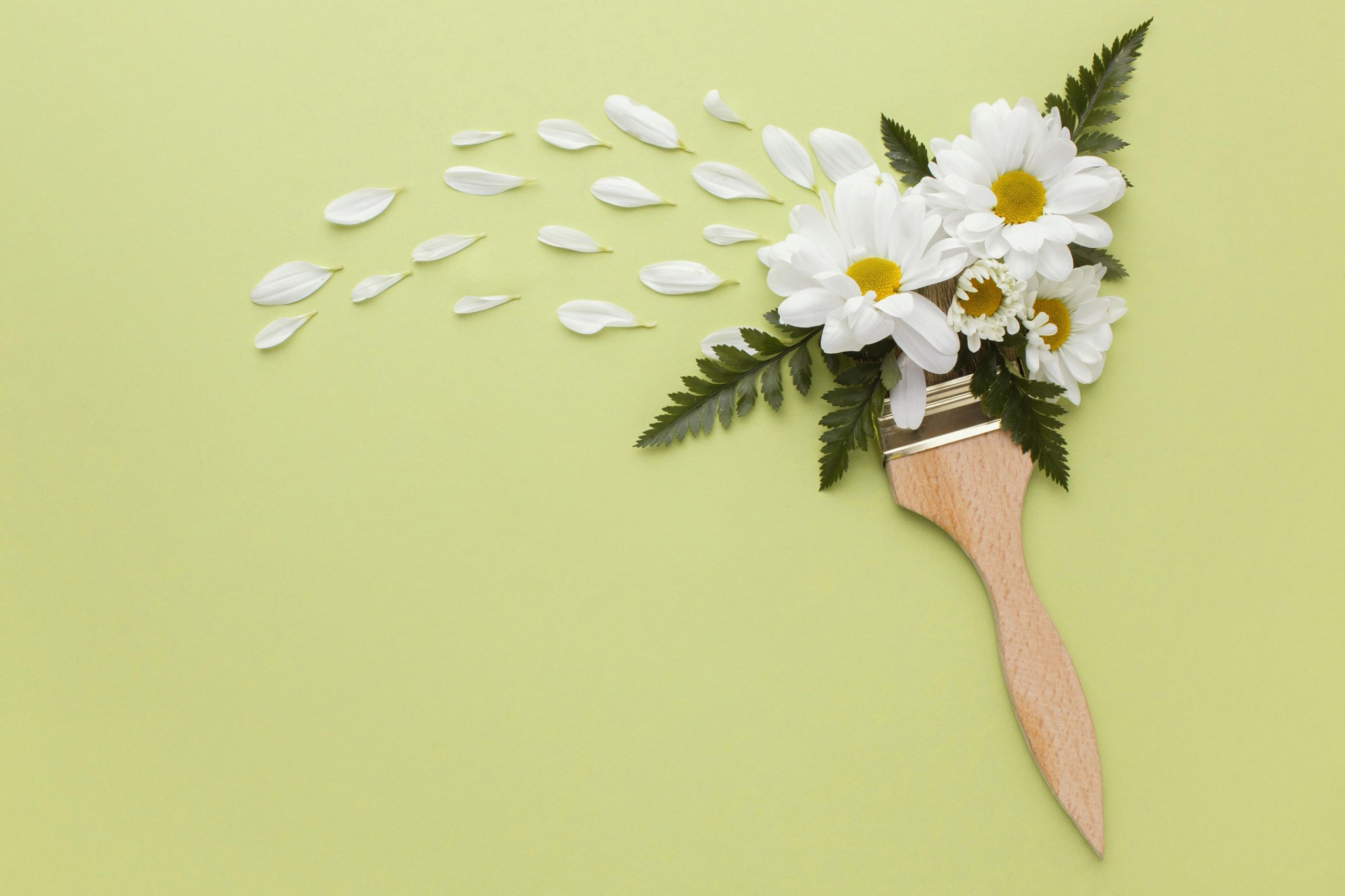 Paintbrush with daisies and petals HD Wallpaper