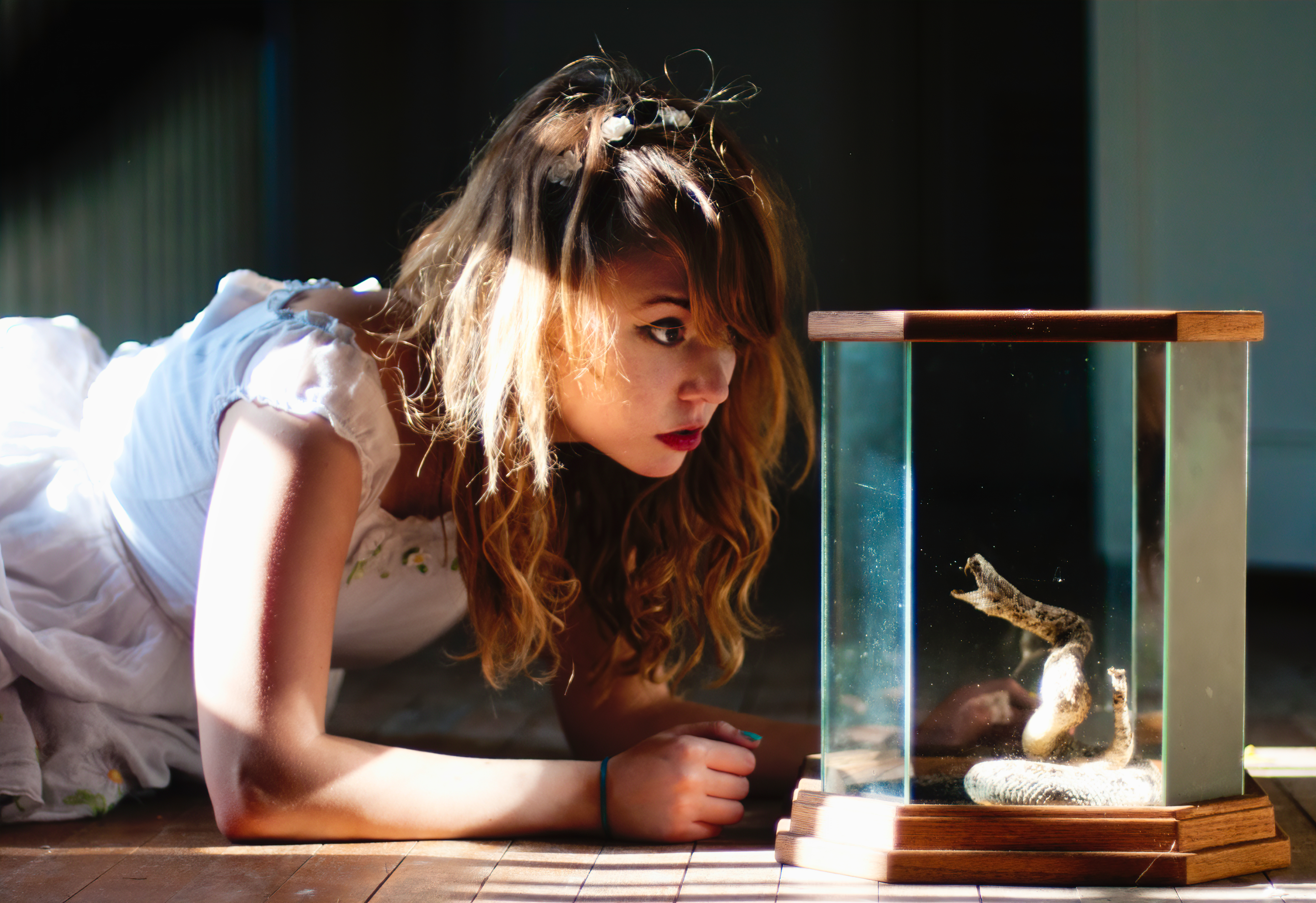 Woman looking at a snake in a terrarium HD Wallpaper