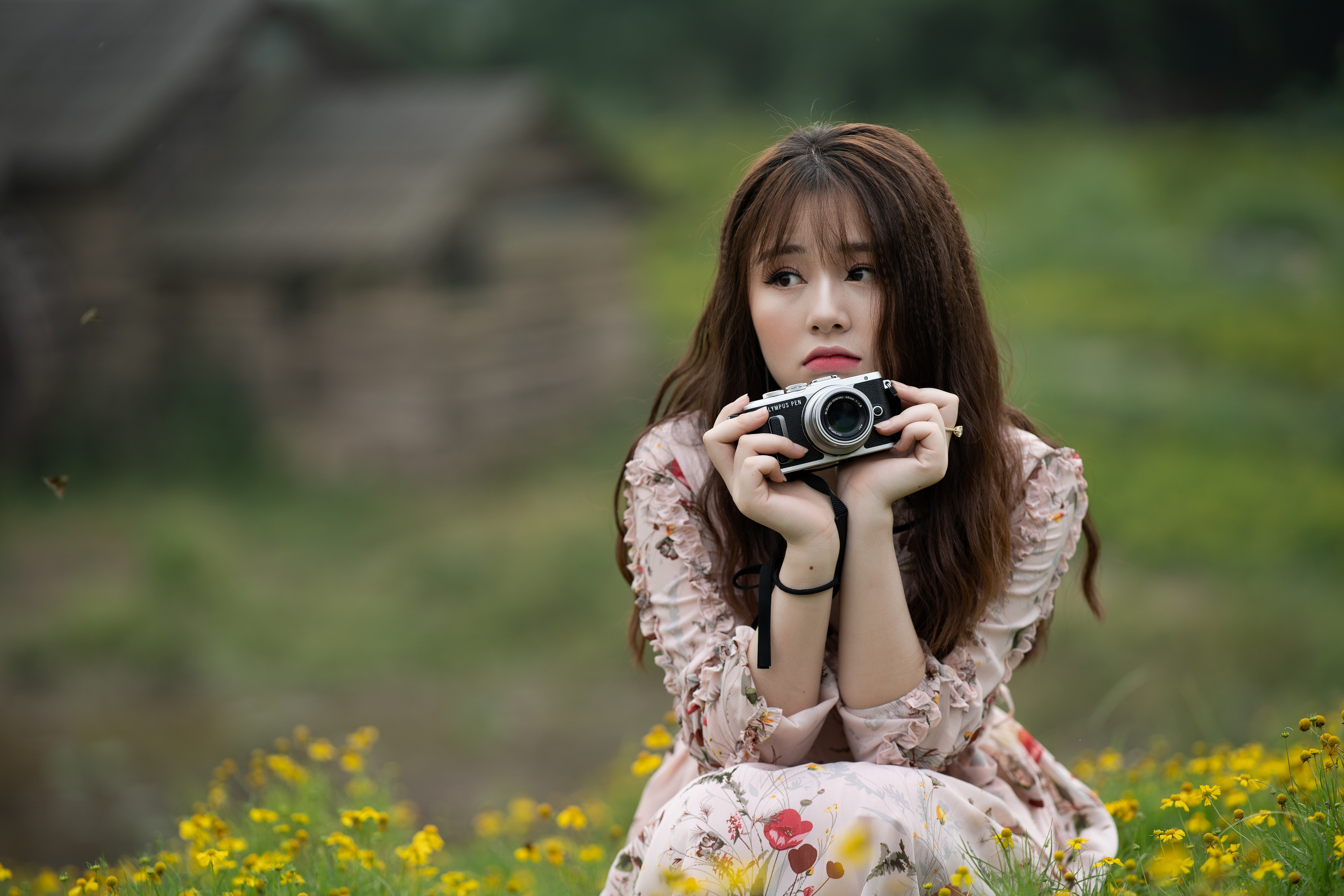 Asian woman with camera in field of flowers HD Wallpaper