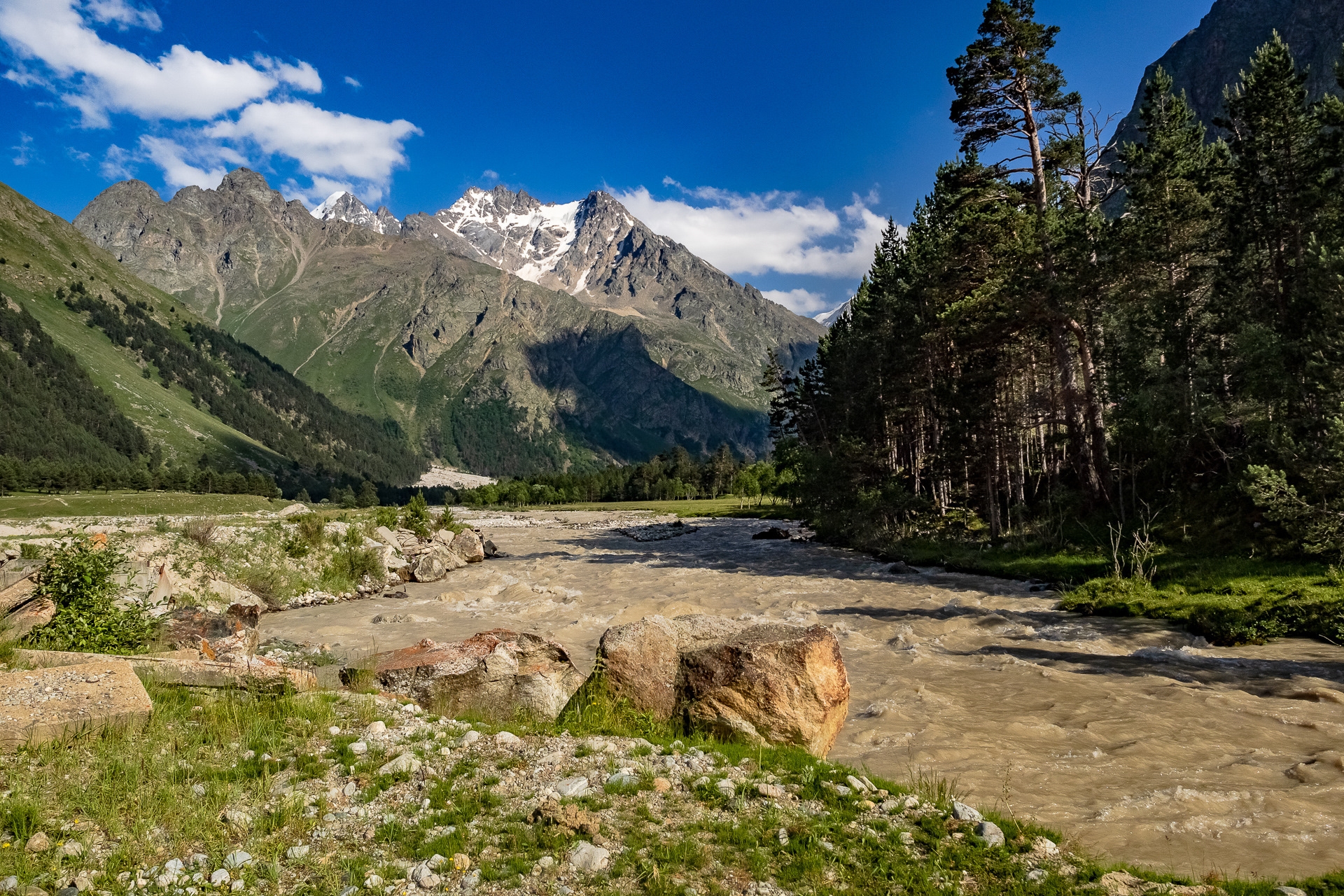 Muddy river flows through a valley with mountains and pine trees HD Wallpaper