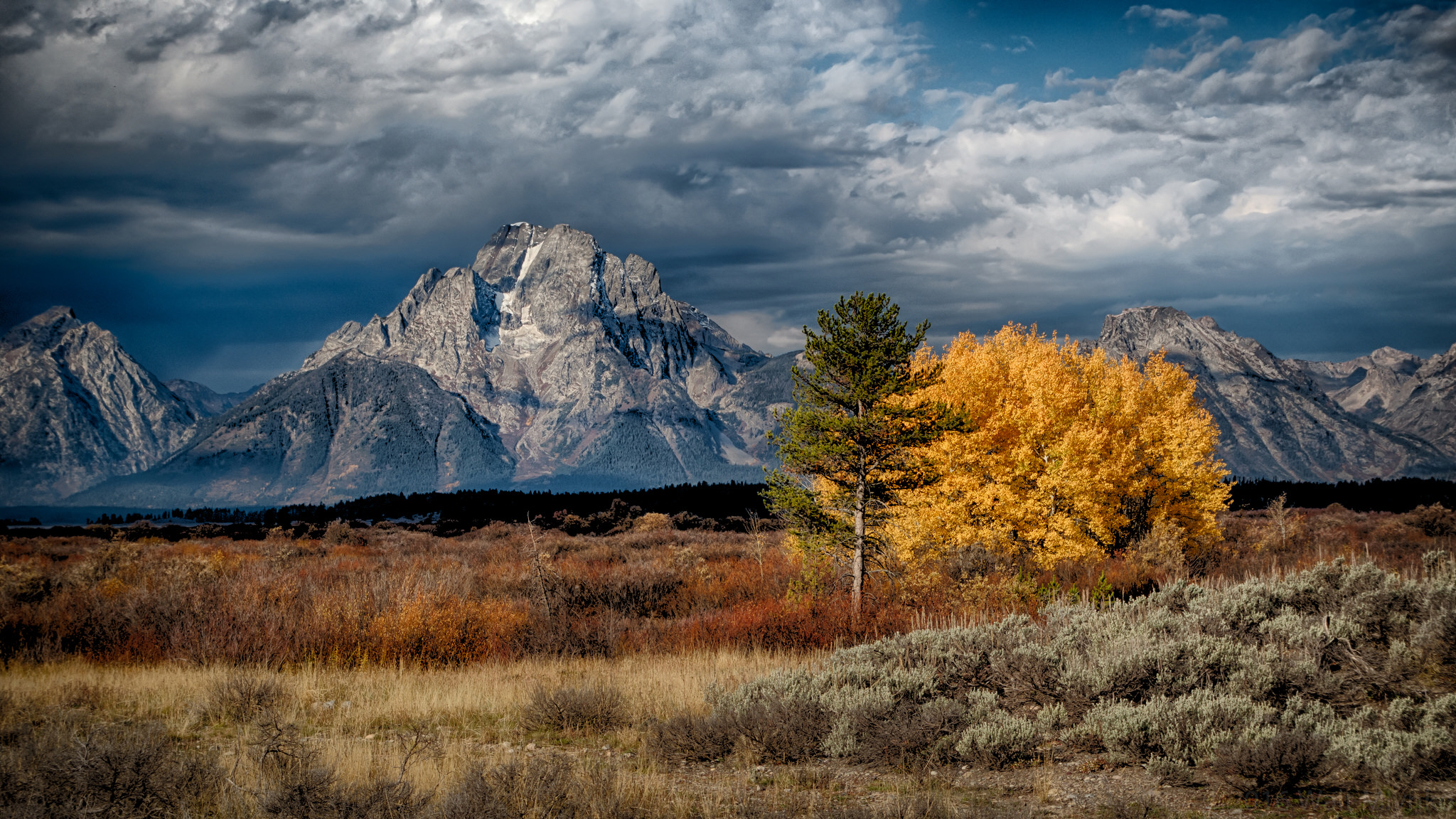Grand Teton Mountains with Autumn Trees HD Wallpaper