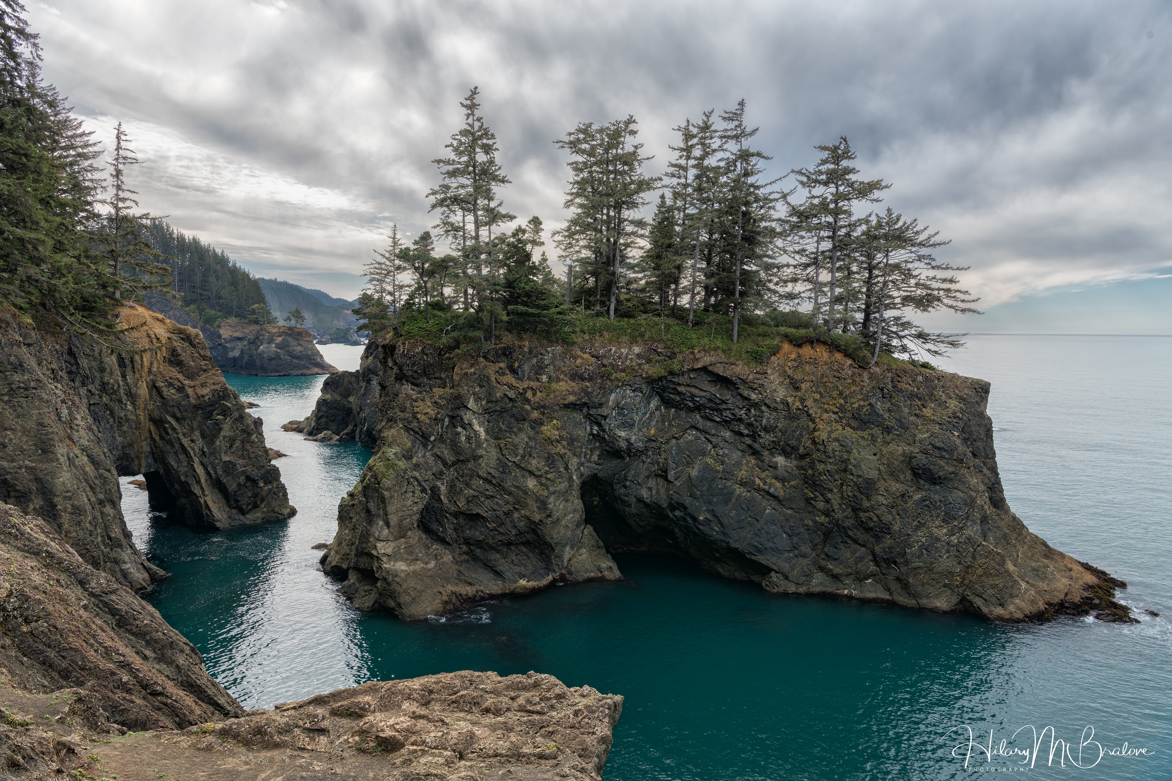 Rugged Oregon Coastline with Sea Stacks and Trees HD Wallpaper