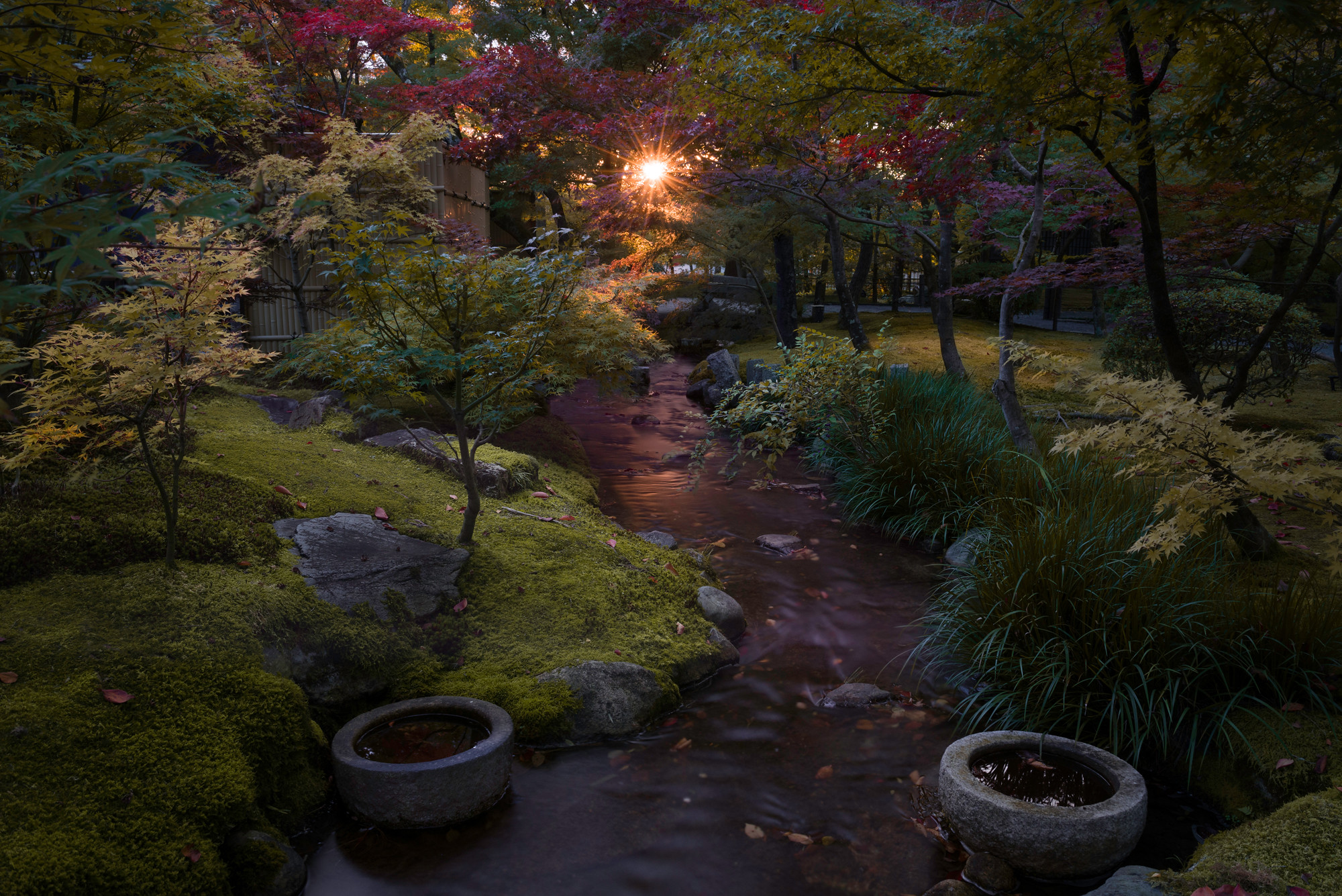 Japanese garden with stream and autumn foliage HD Wallpaper