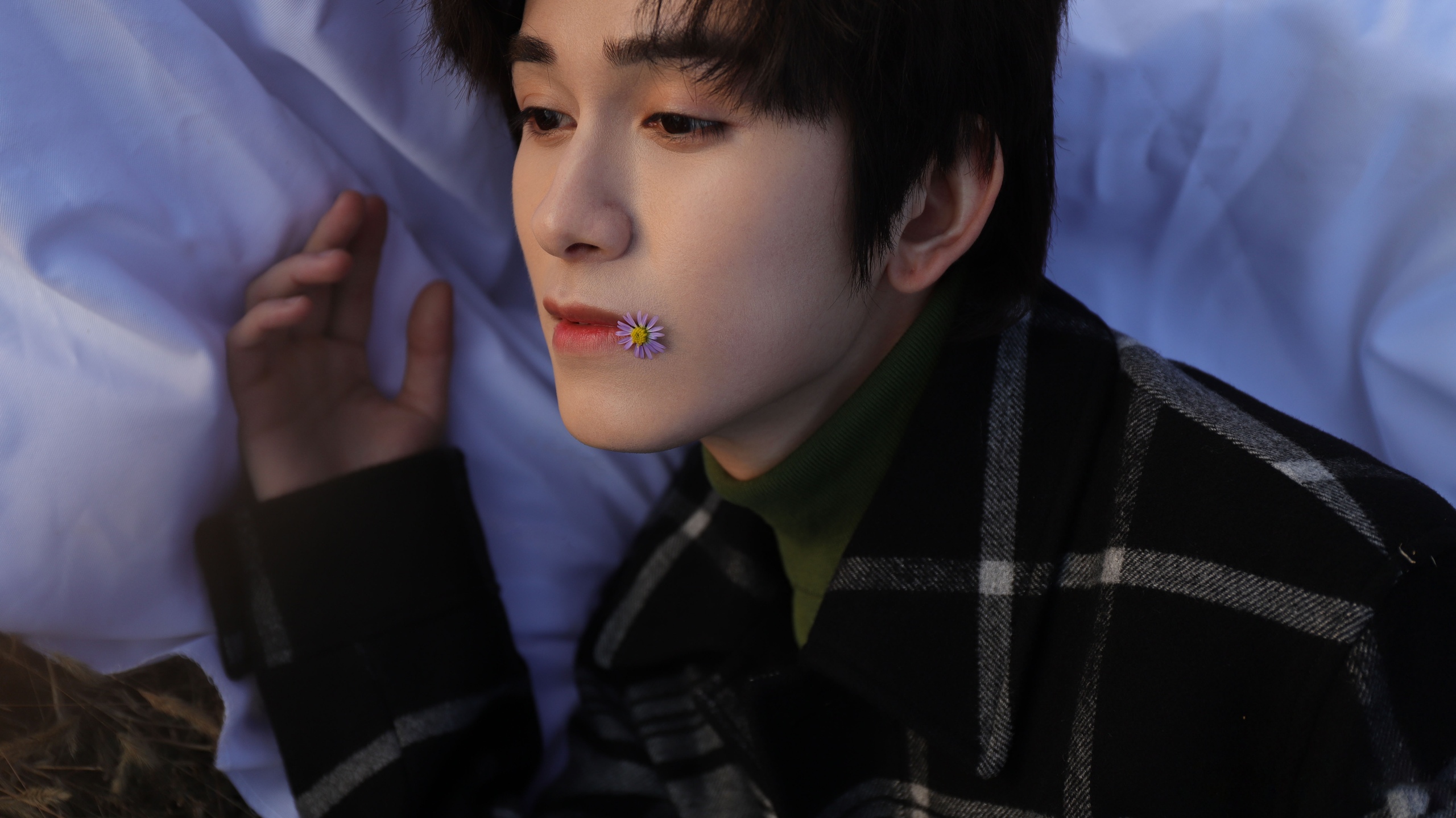 Zhu Zanjin with a flower on his lip HD Wallpaper