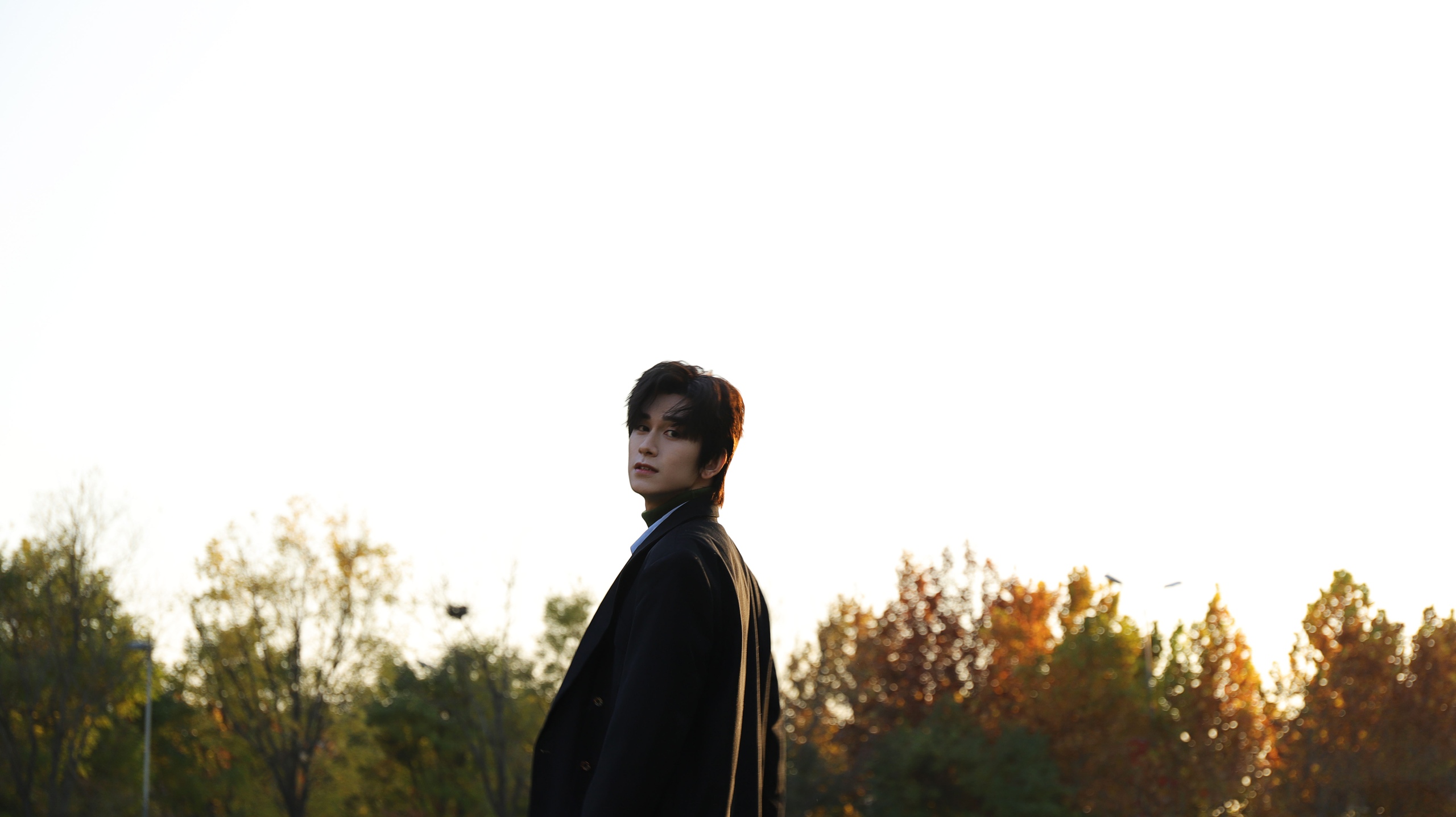 Zhu Zanjin HD Wallpaper