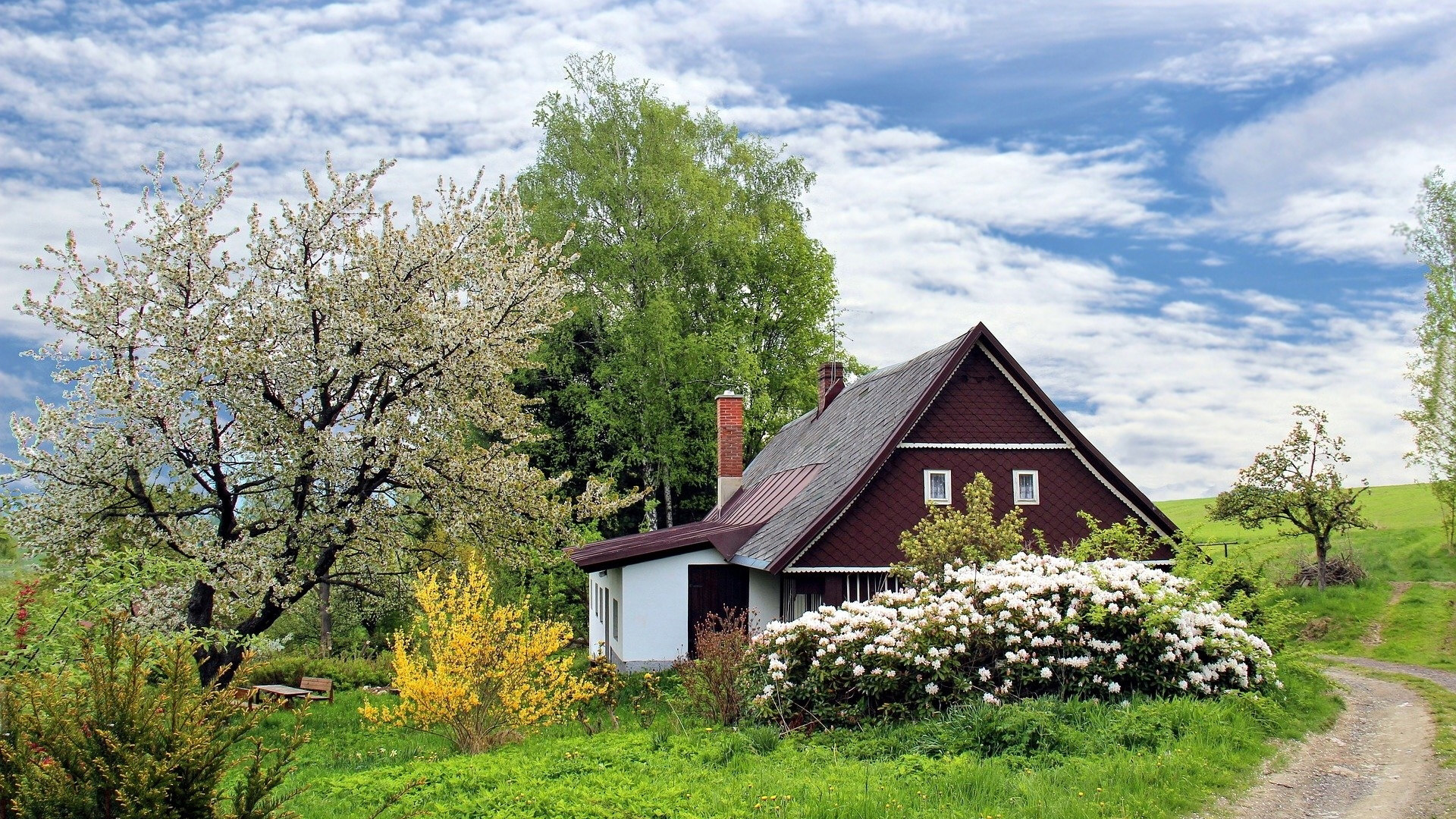 House in a blooming garden with a dirt road HD Wallpaper