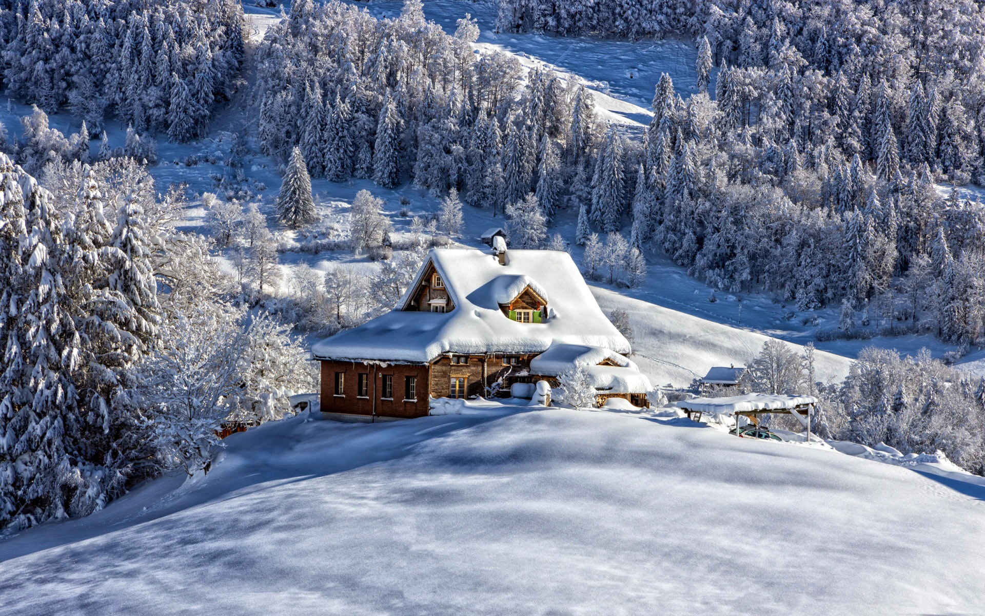 Snow-covered house in a winter forest HD Wallpaper
