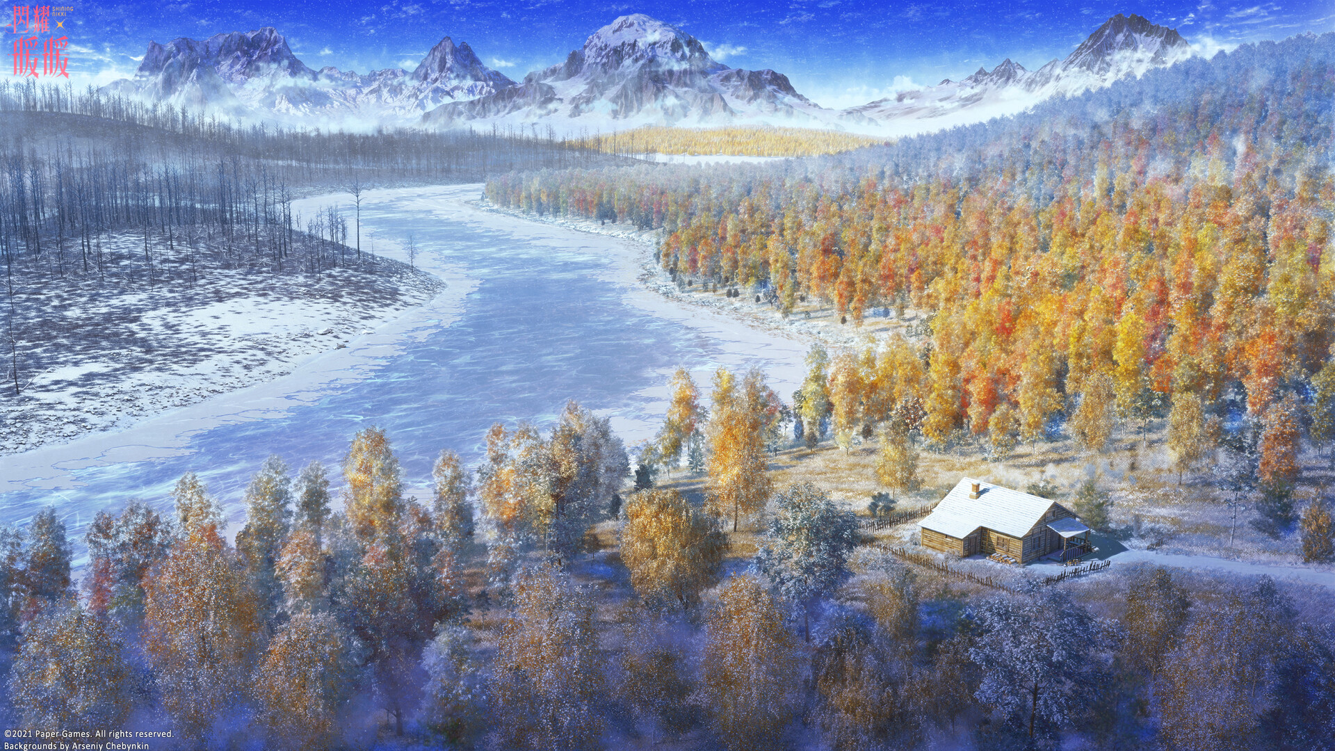 Birch Forest in the North HD Wallpaper