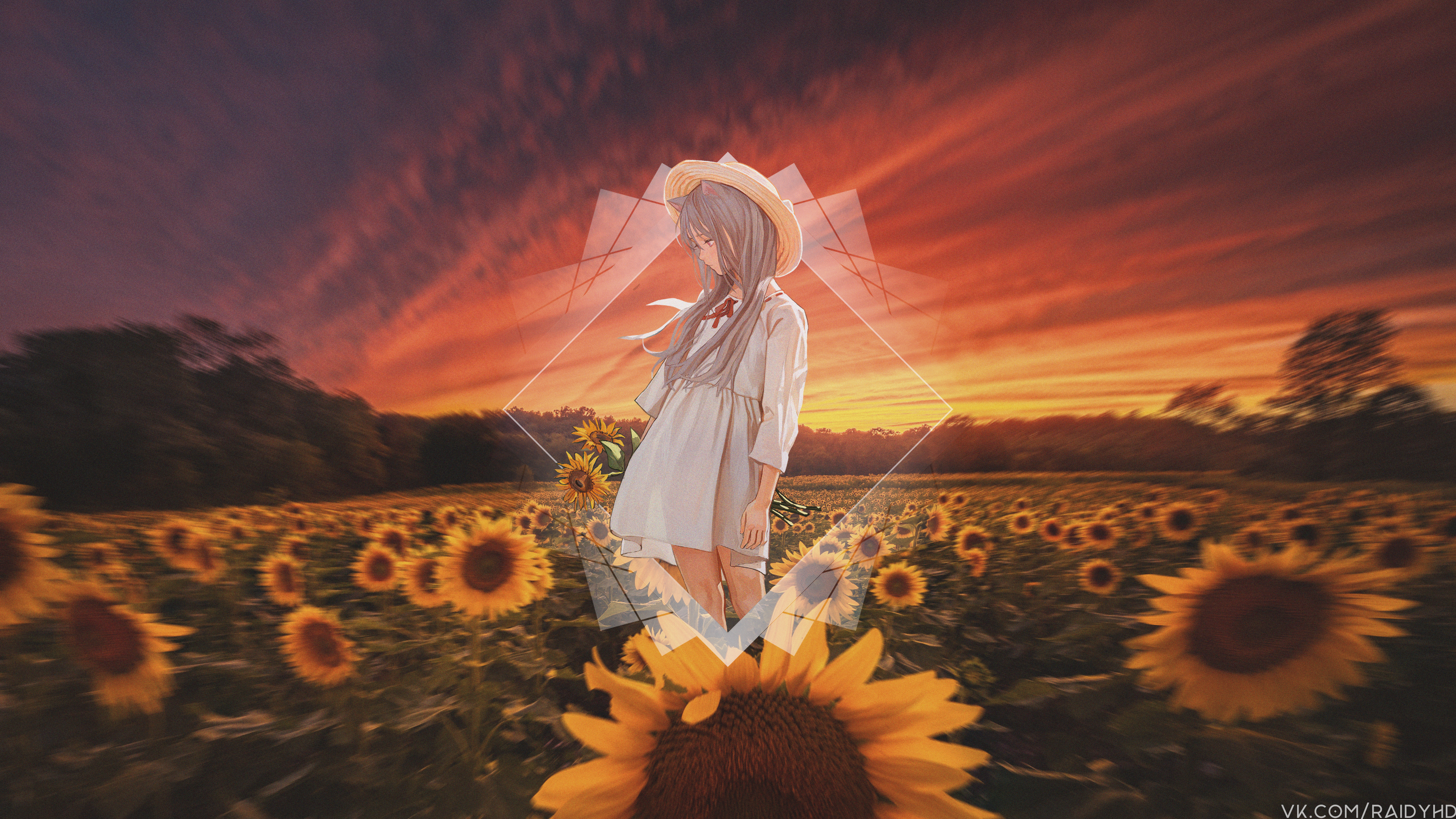 Anime girl in a dress and hat in a sunflower field at sunset HD Wallpaper