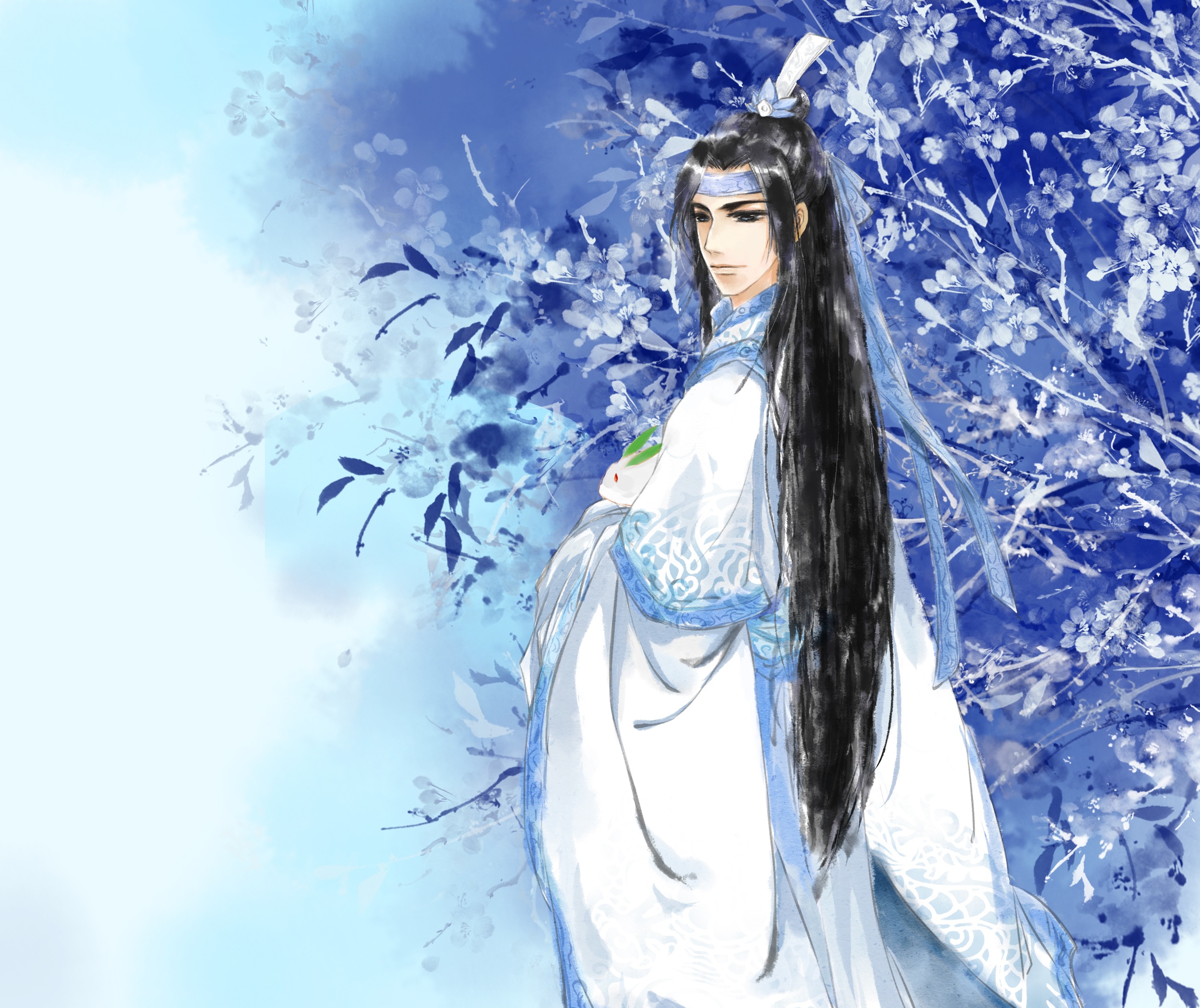 Lan Wangji from Mo Dao Zu Shi HD Wallpaper