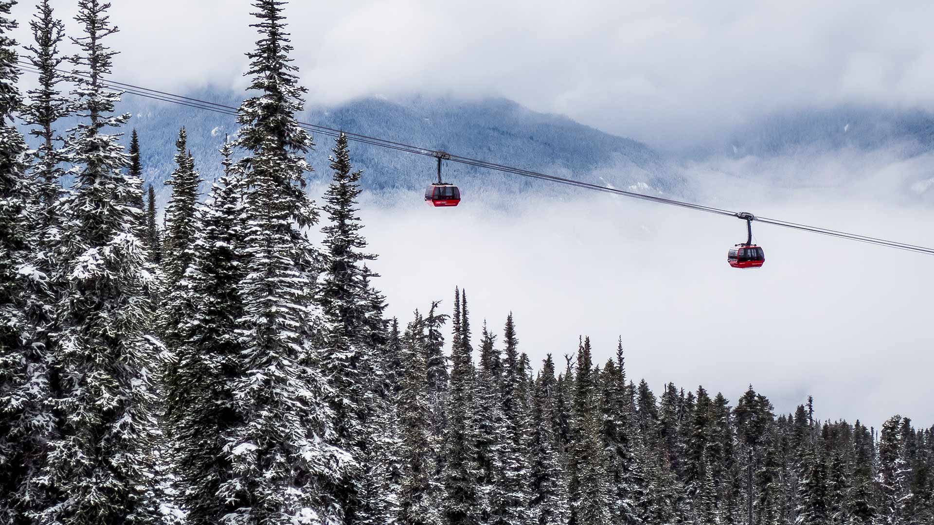 Red gondolas on a ski lift in a snowy forest HD Wallpaper